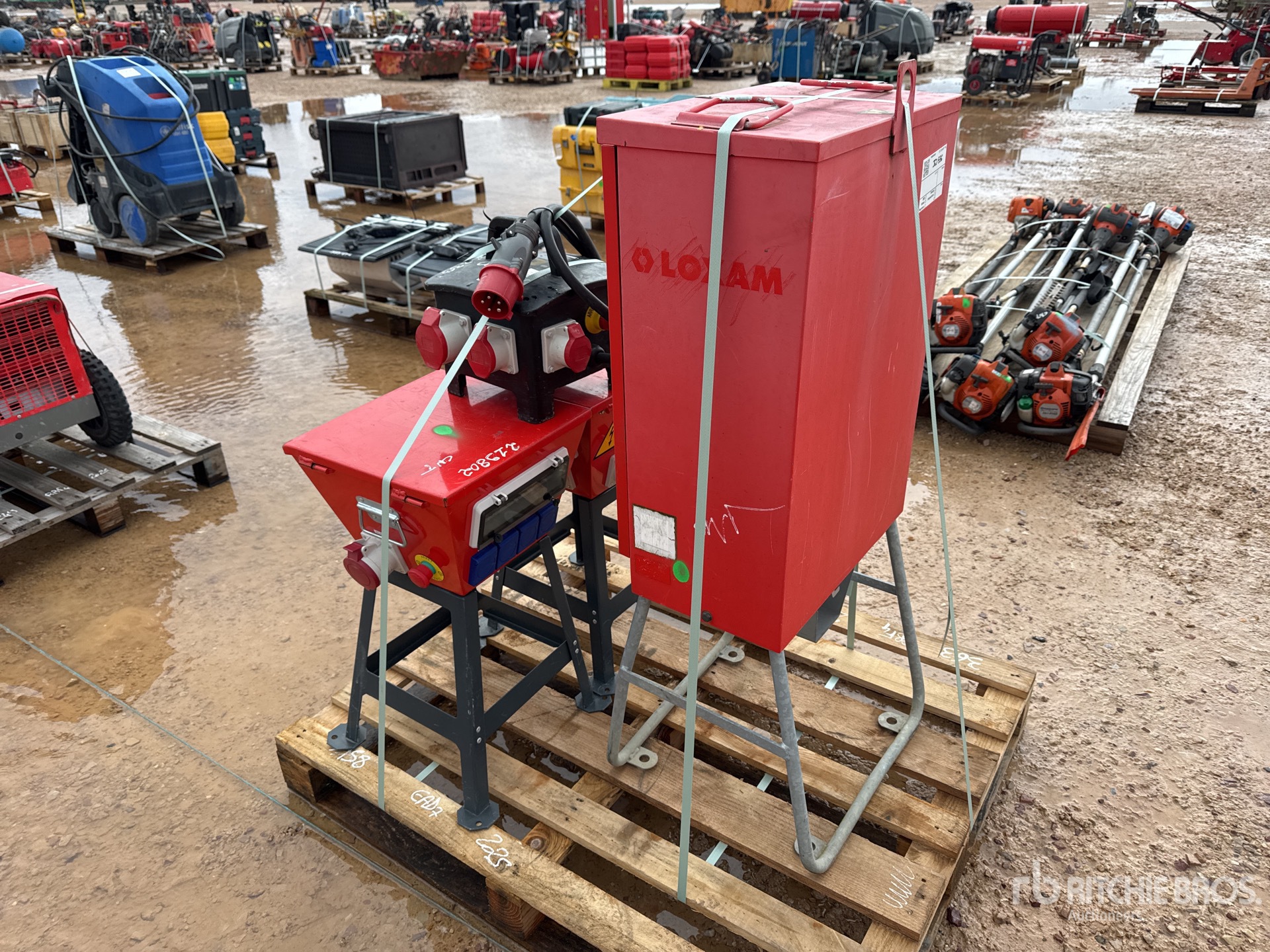 General Appearance with 