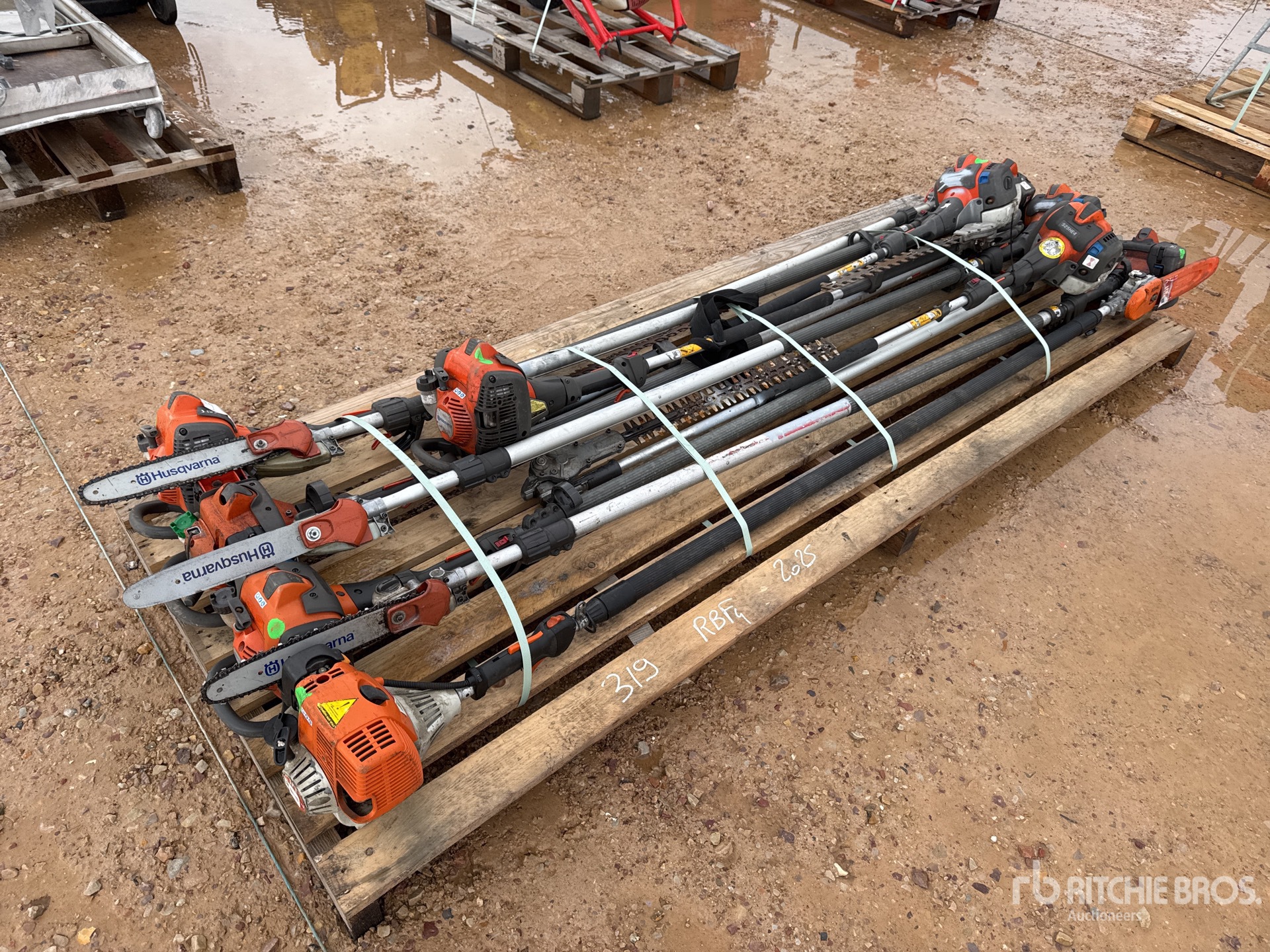 General Appearance with 