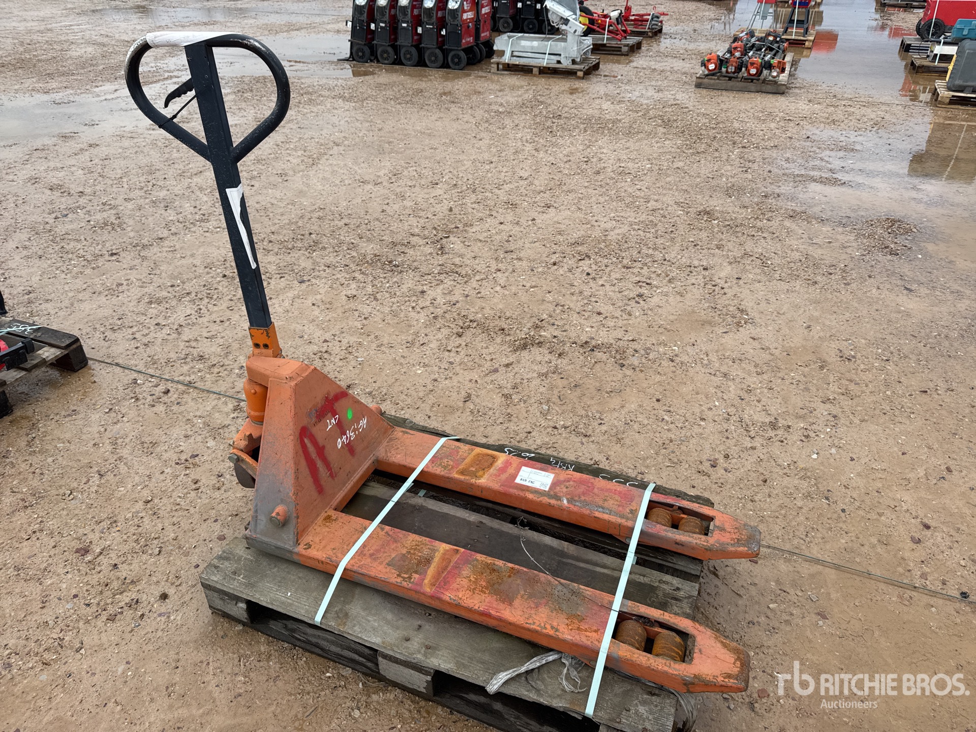 General Appearance with 