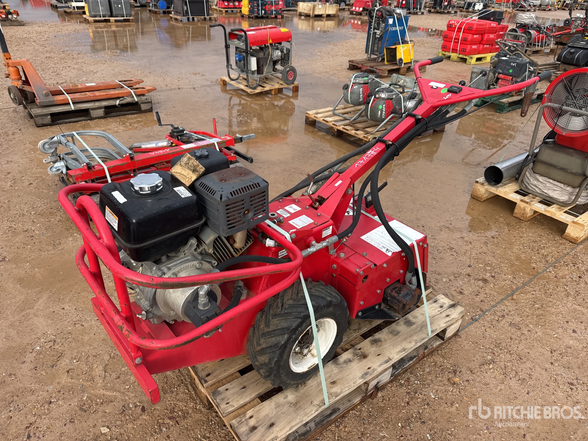 General Appearance with 