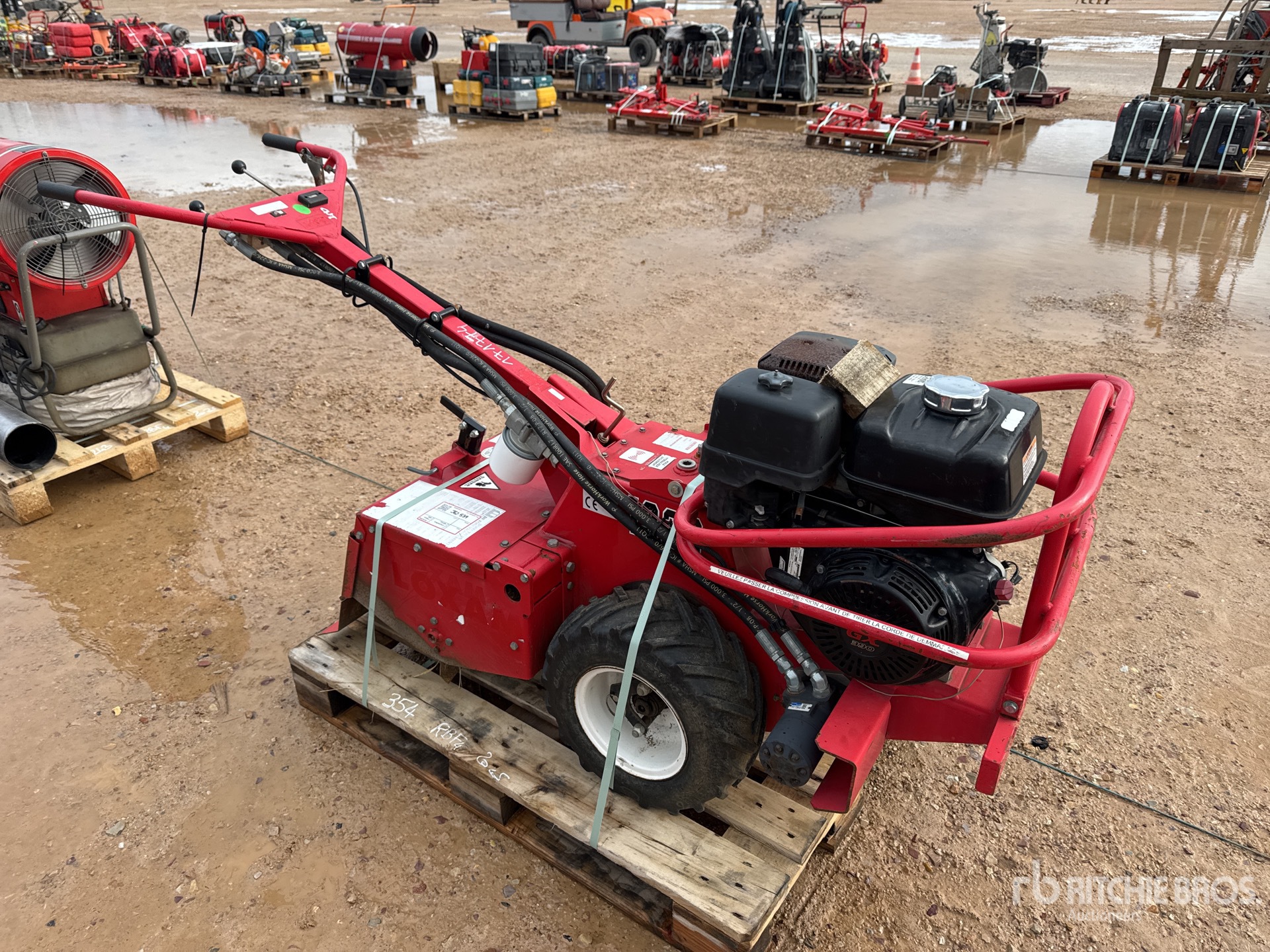 General Appearance with 