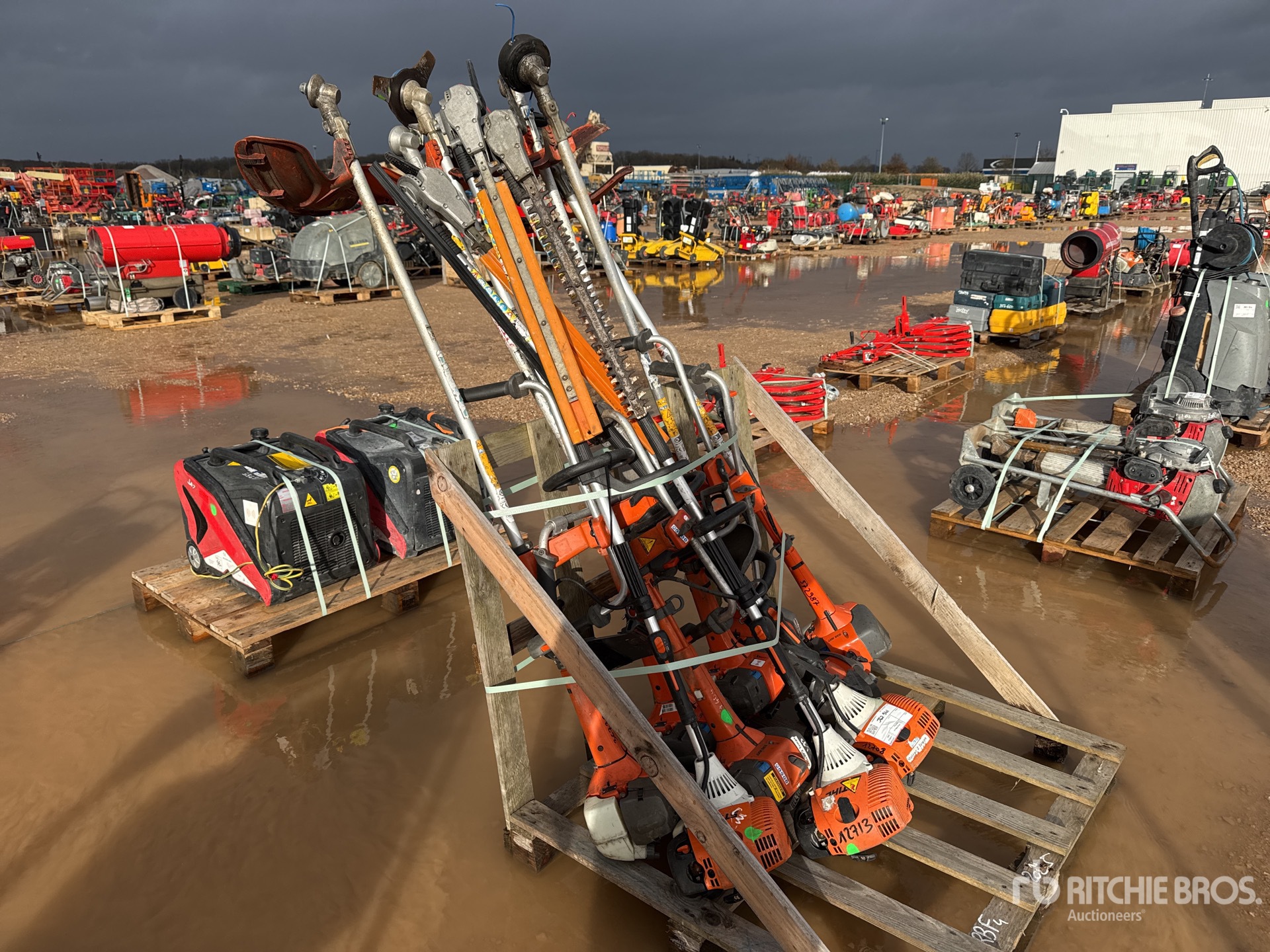 General Appearance with 