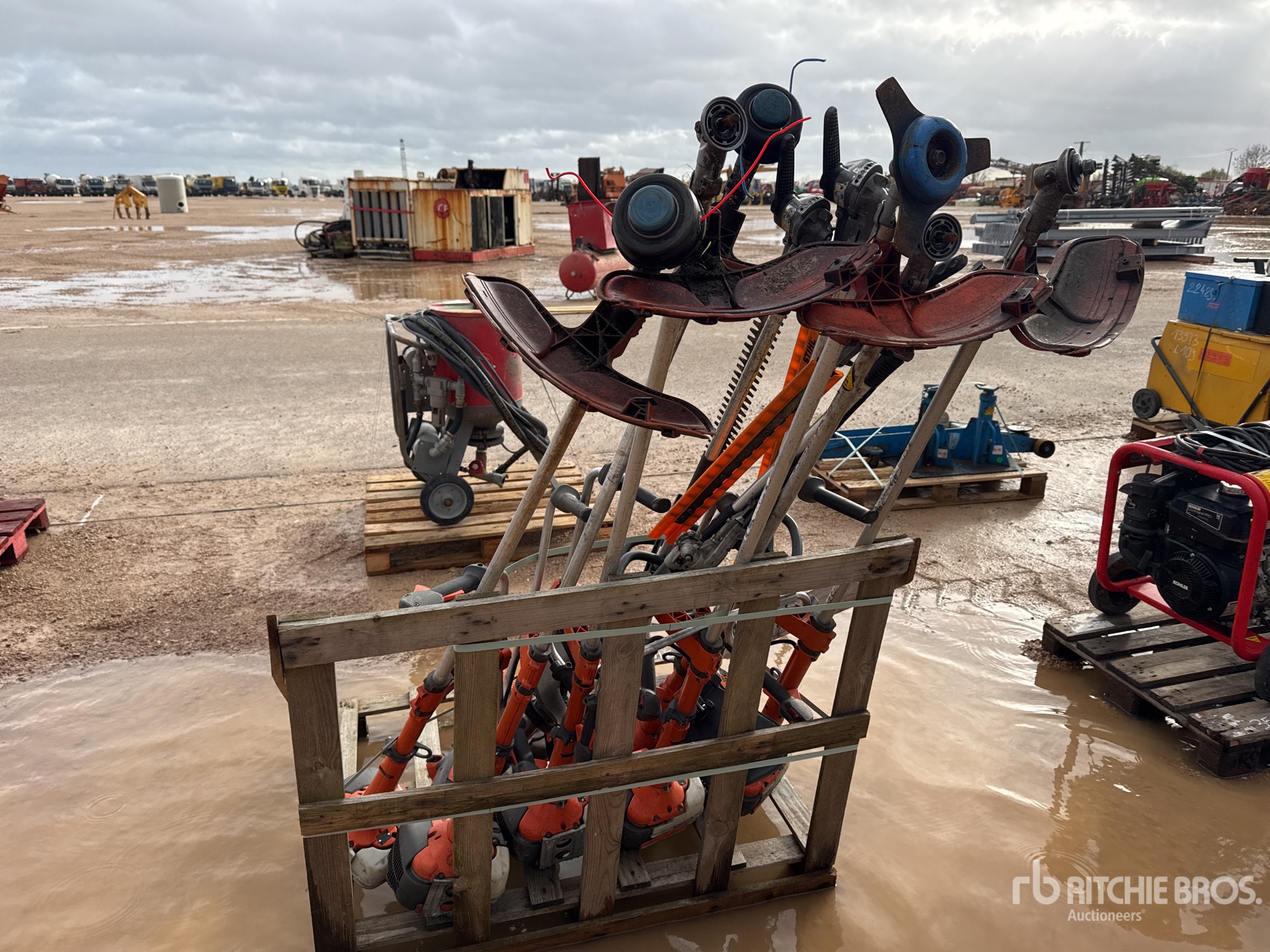 General Appearance with 