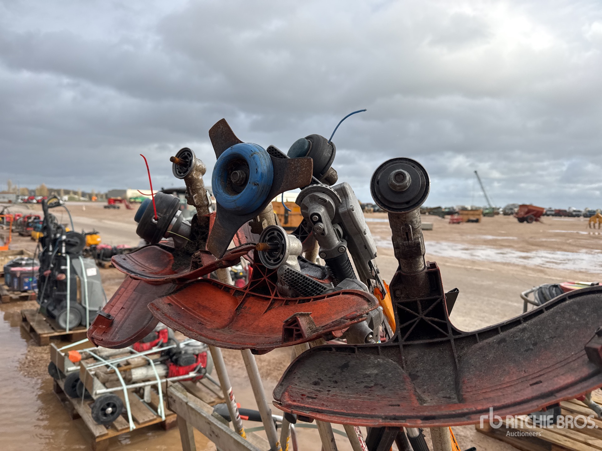 General Appearance with 