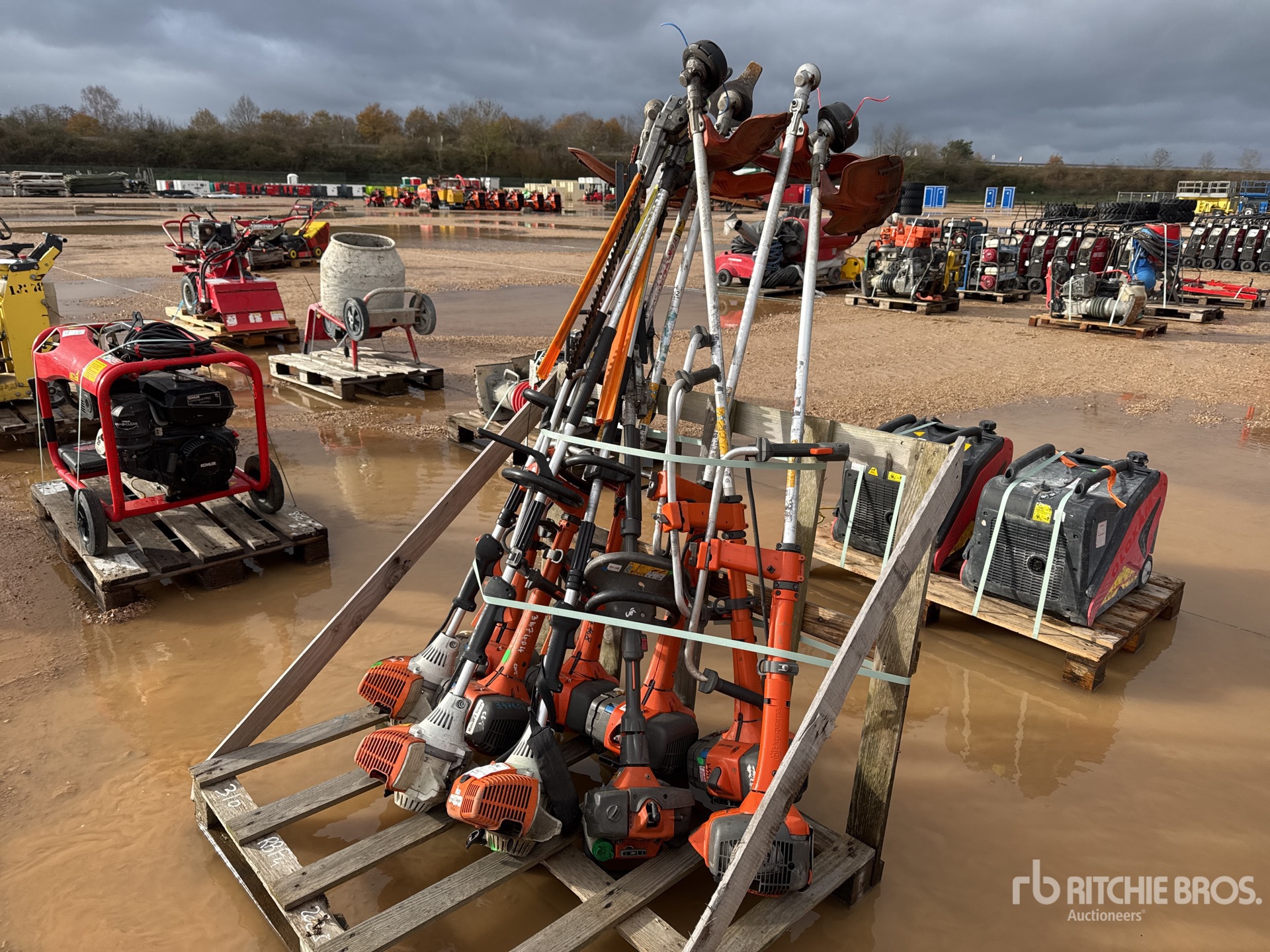 General Appearance with 