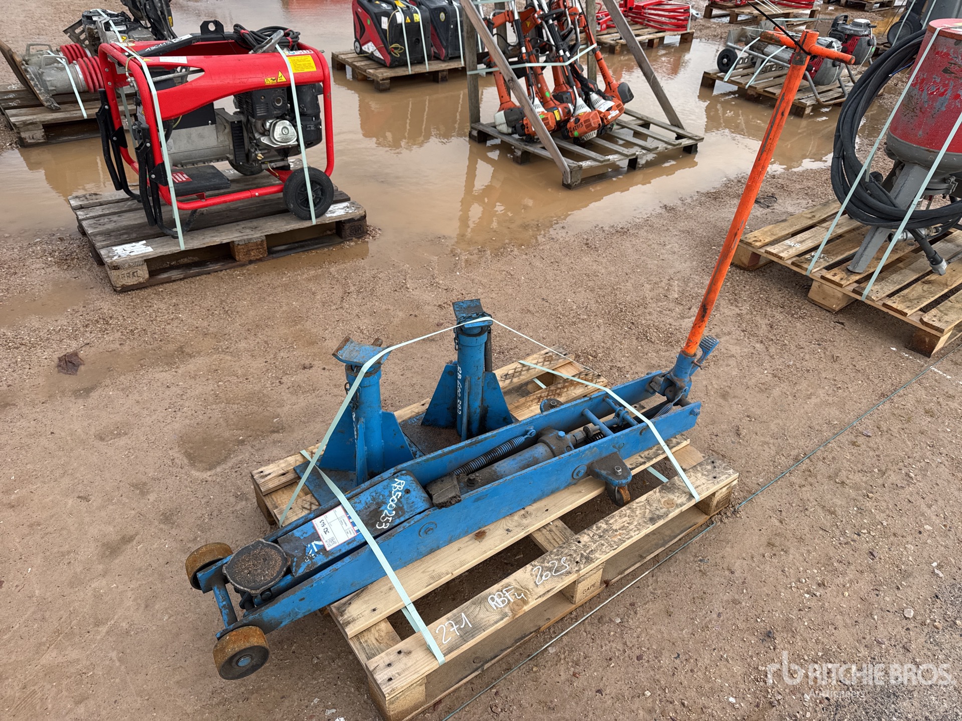 General Appearance with