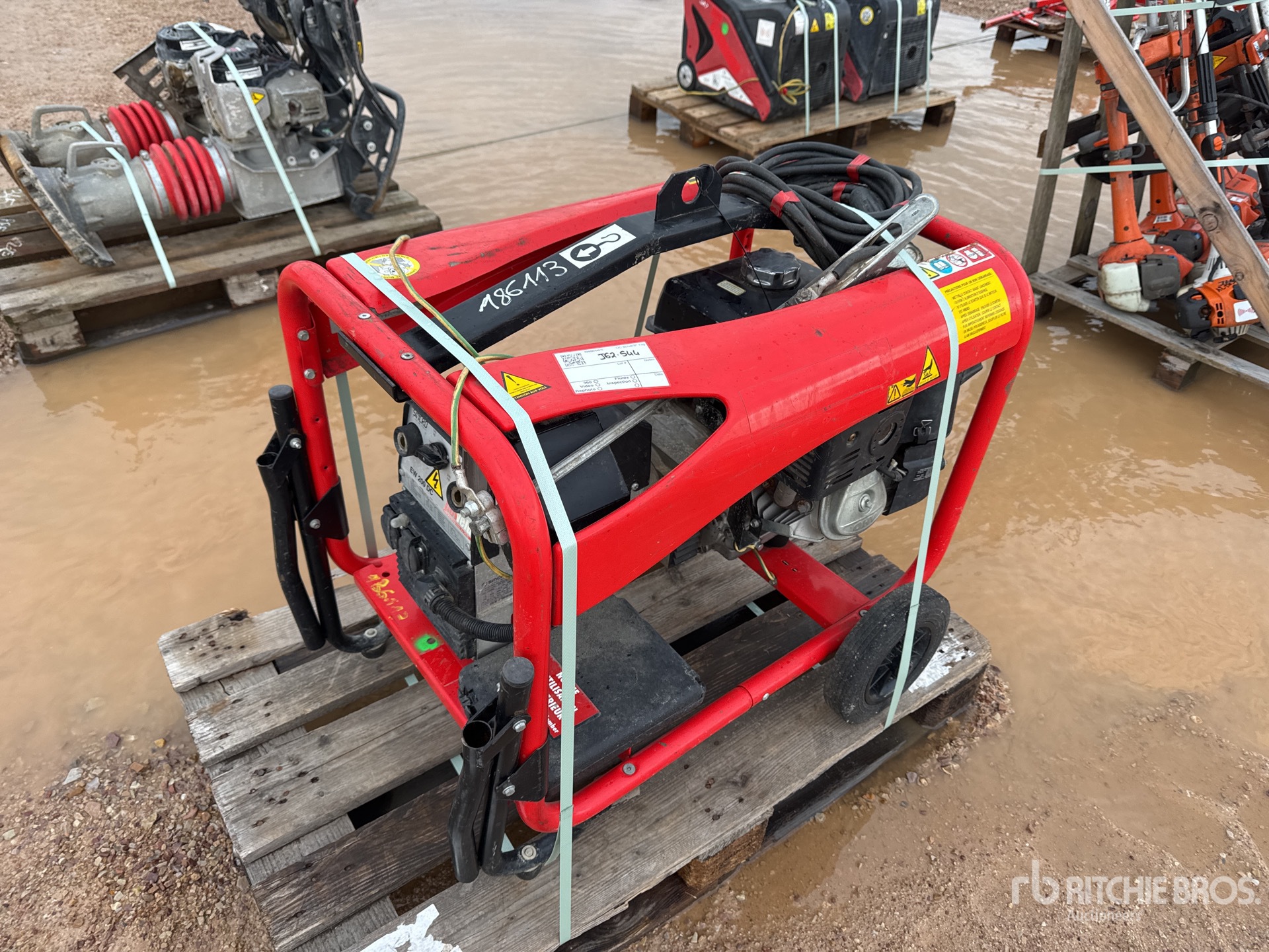 General Appearance with 