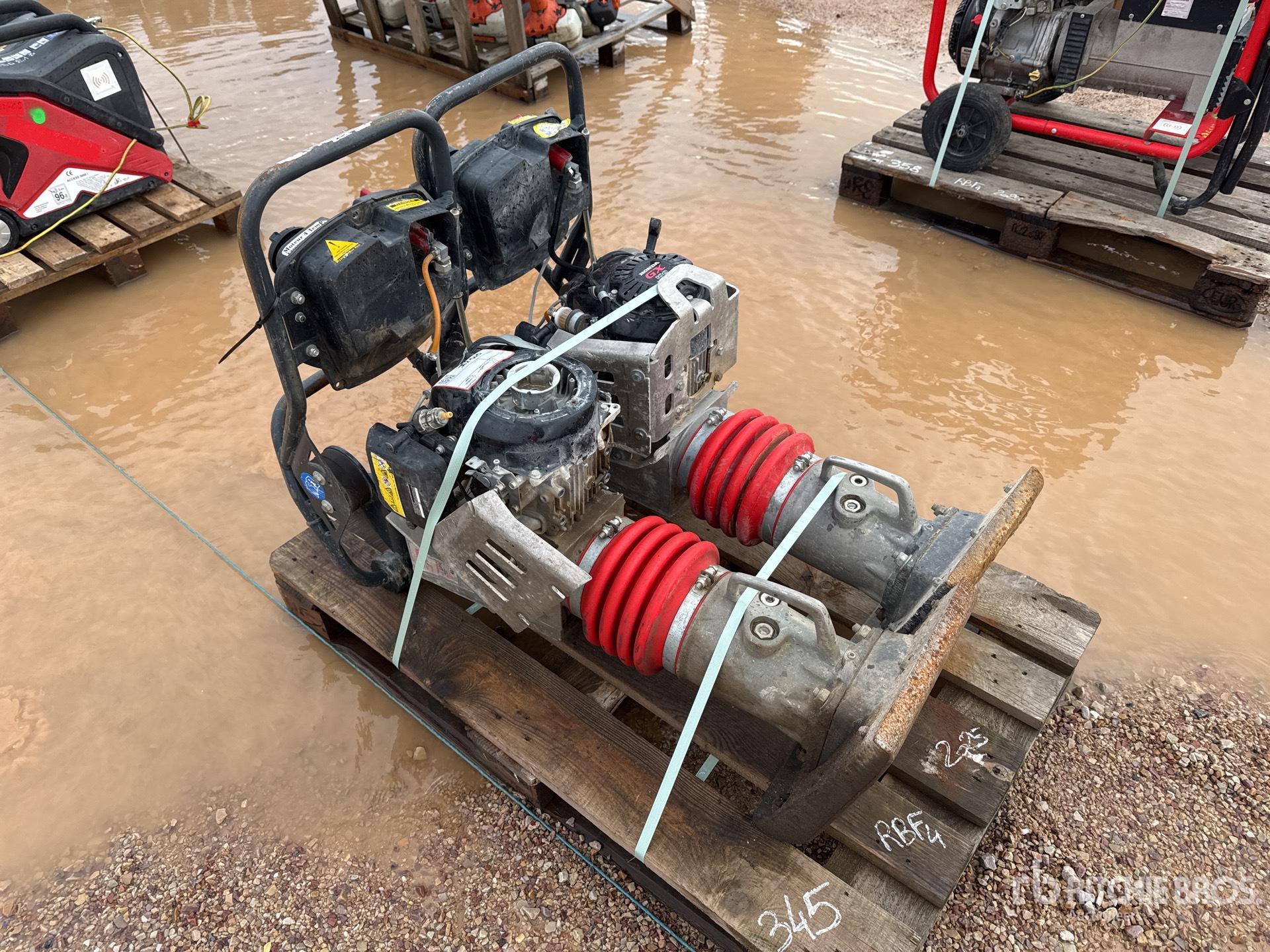 General Appearance with 