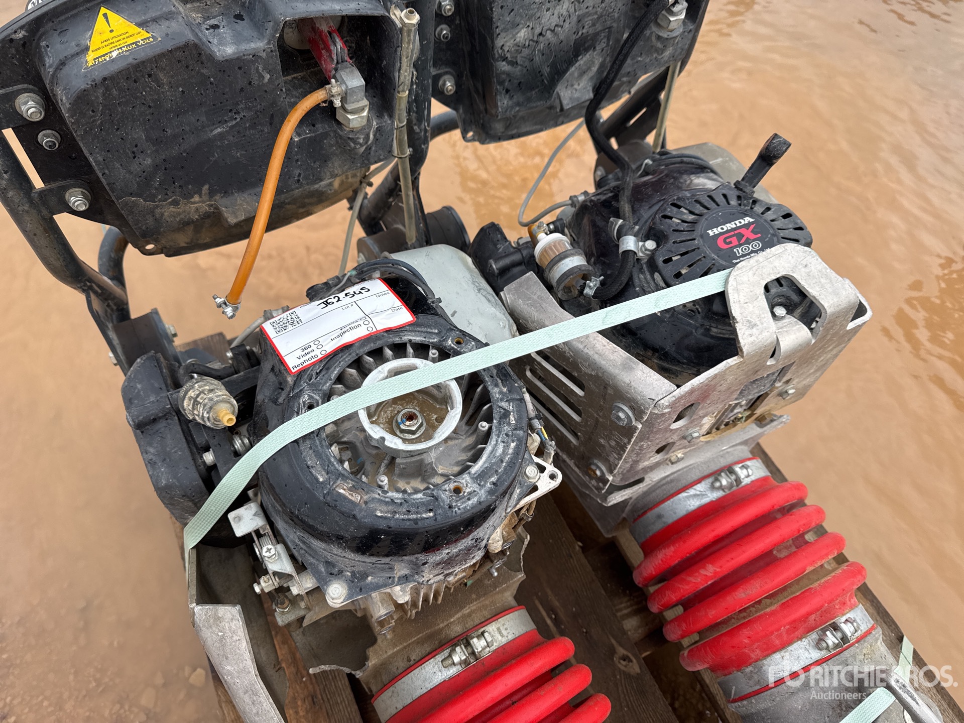 General Appearance with 