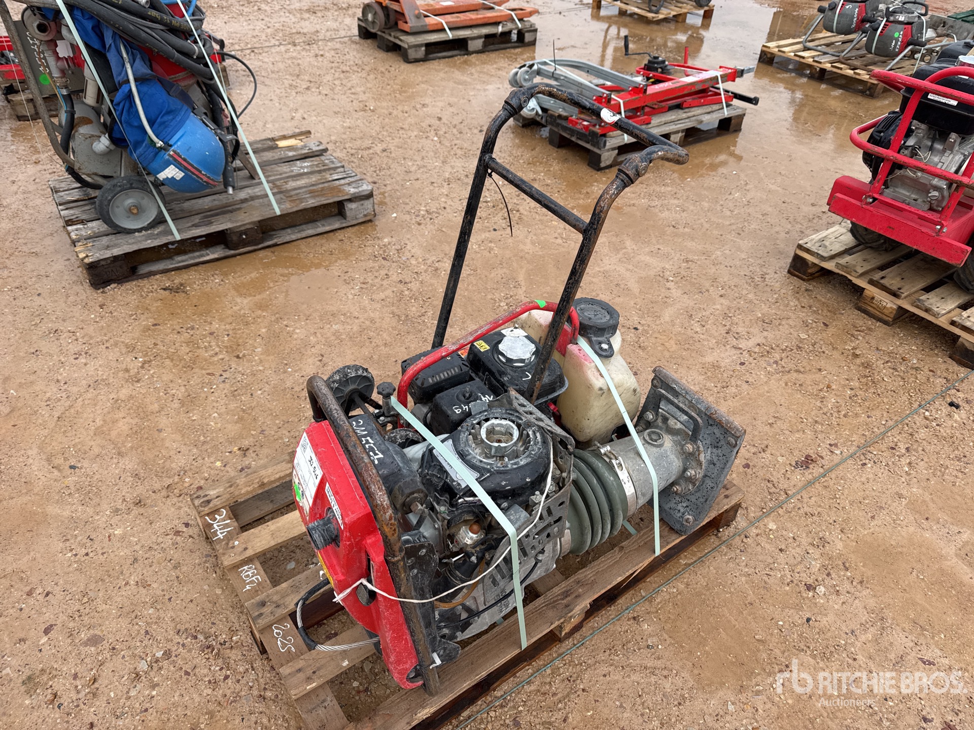 General Appearance with 