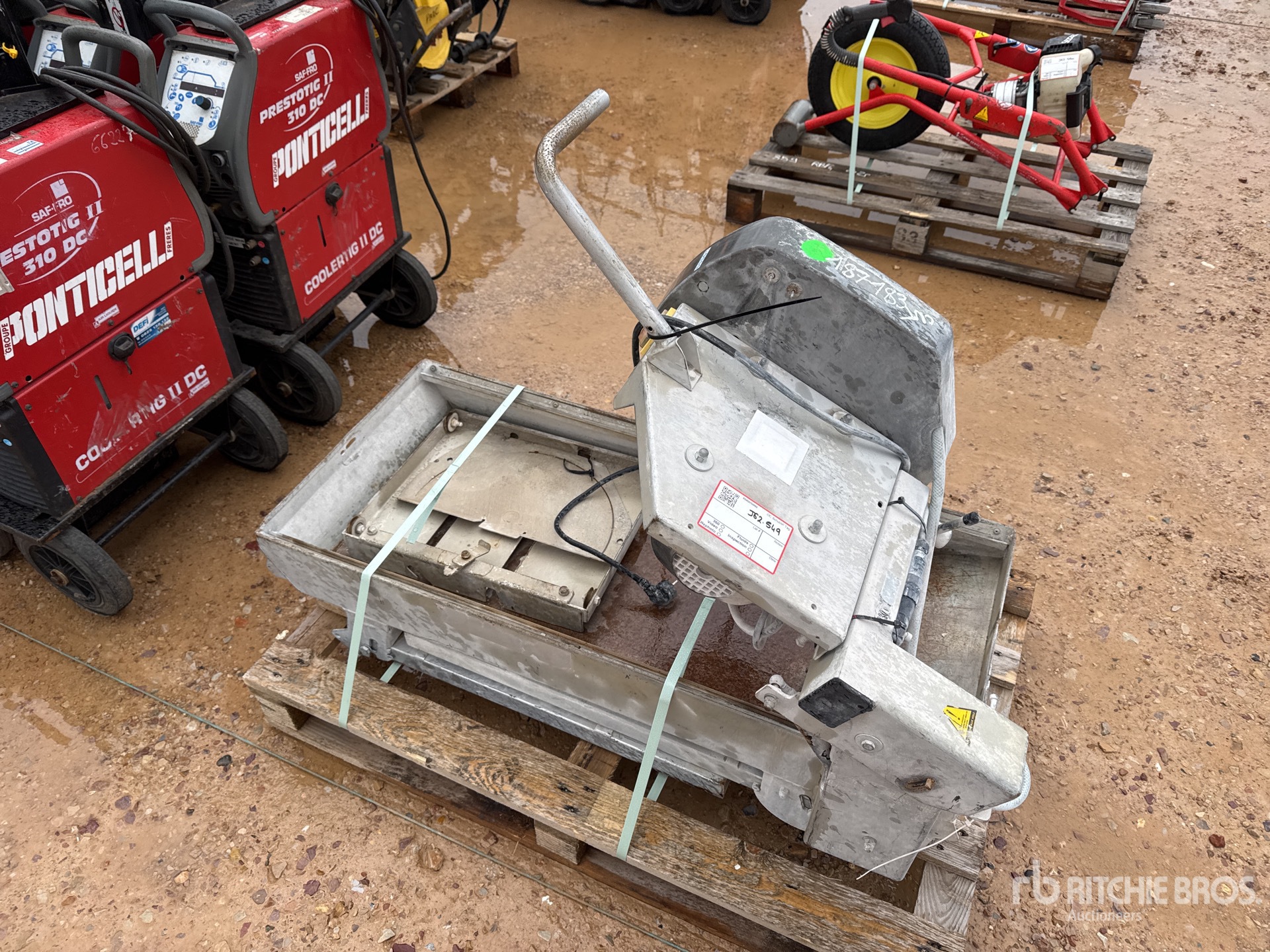 General Appearance with 