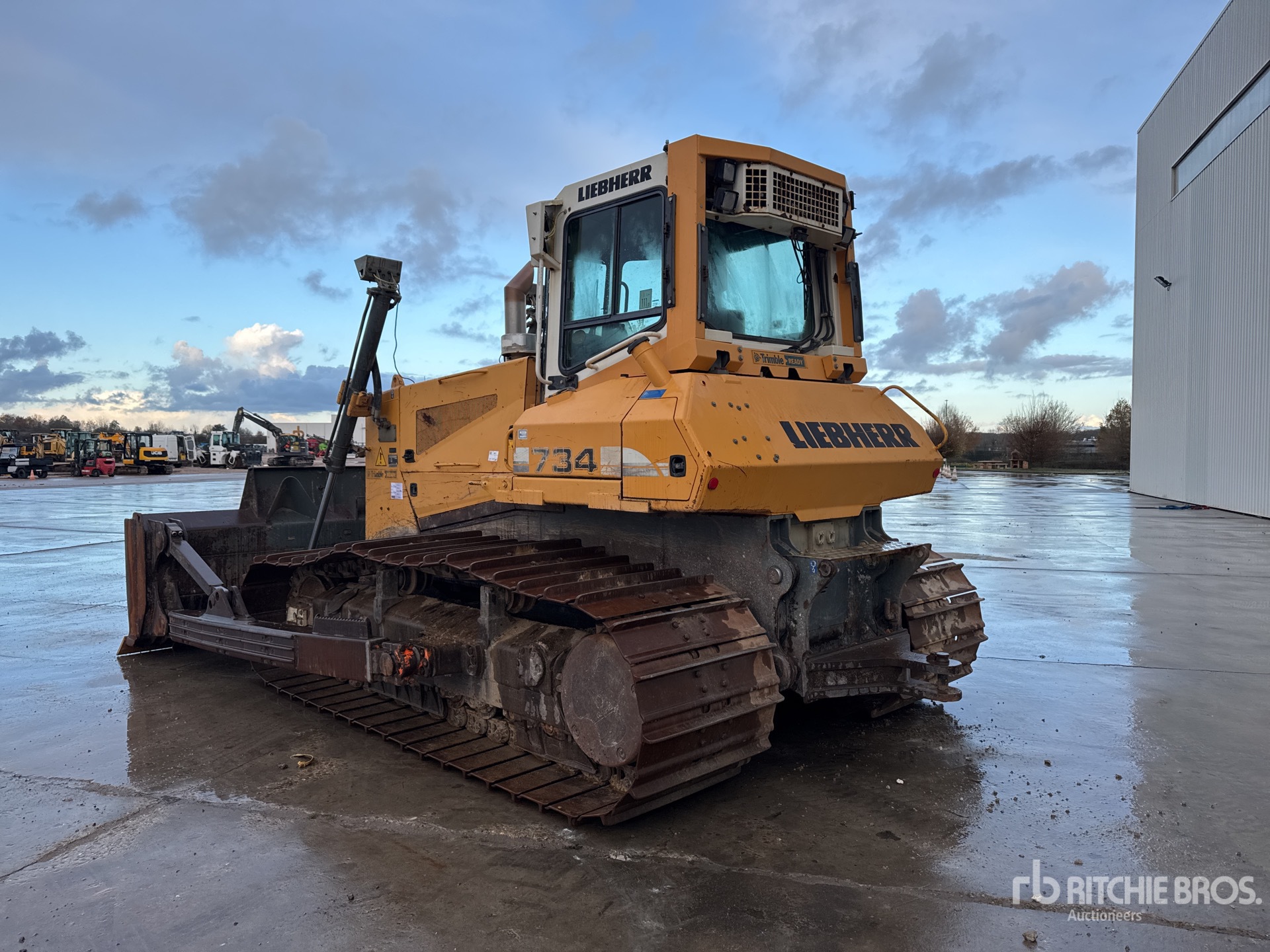 General Appearance with 