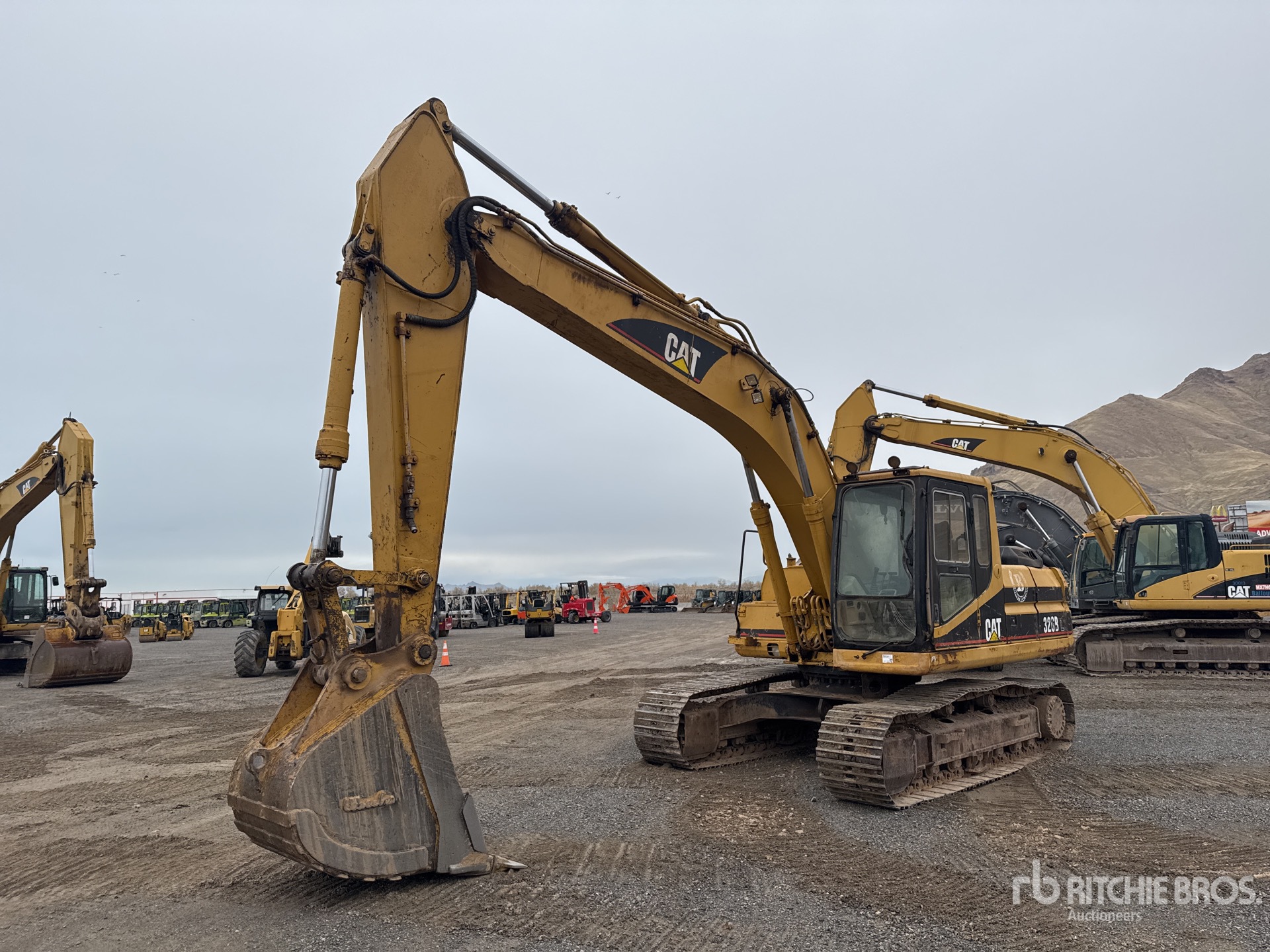 General Appearance with Zdjęcie, lewy górny róg