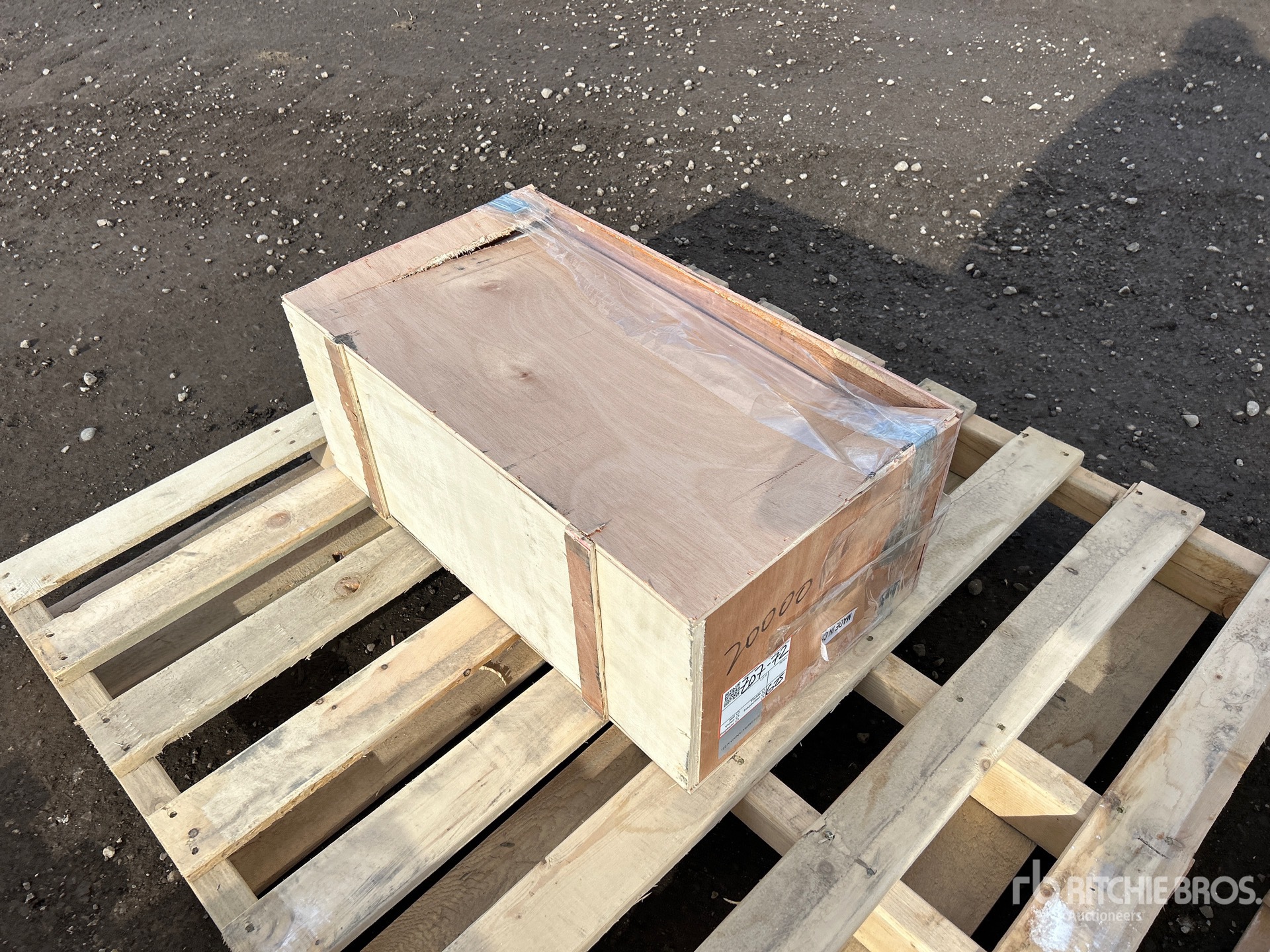 General Appearance with Zdjęcie, prawy dolny róg