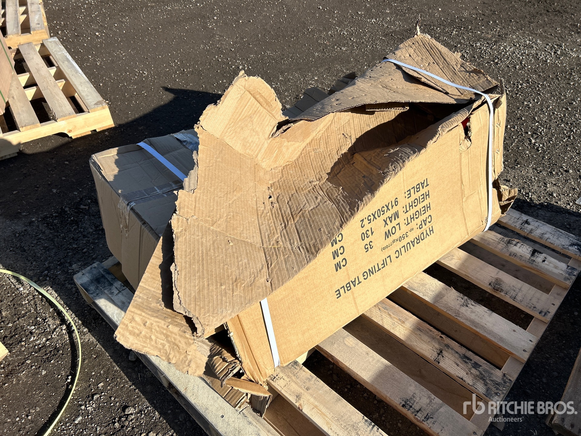 General Appearance with Bild, Ecke hinten links