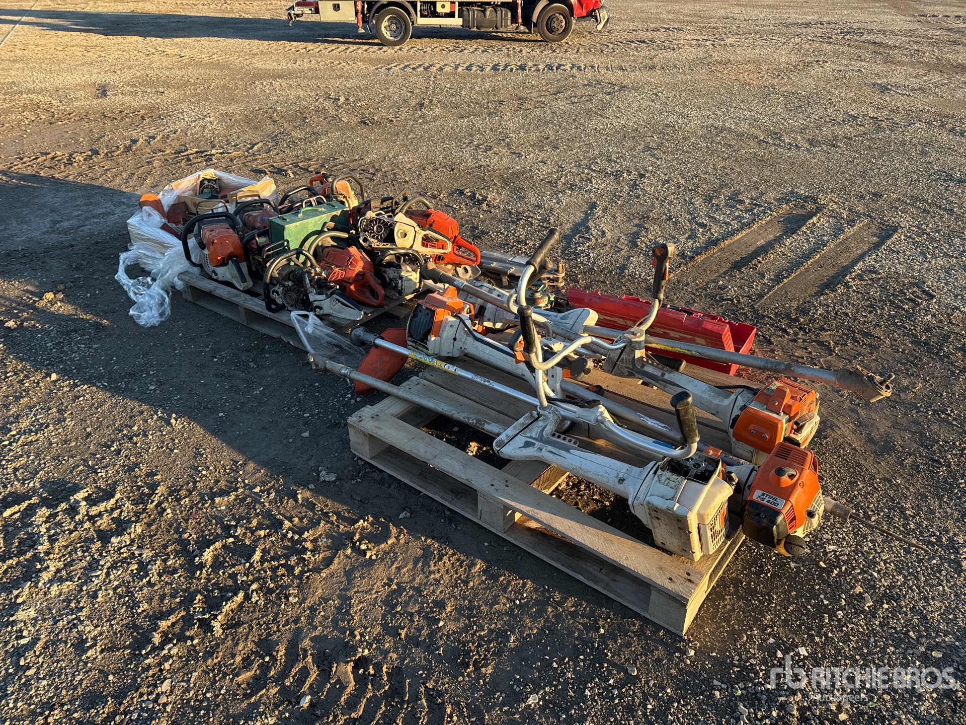 General Appearance with 