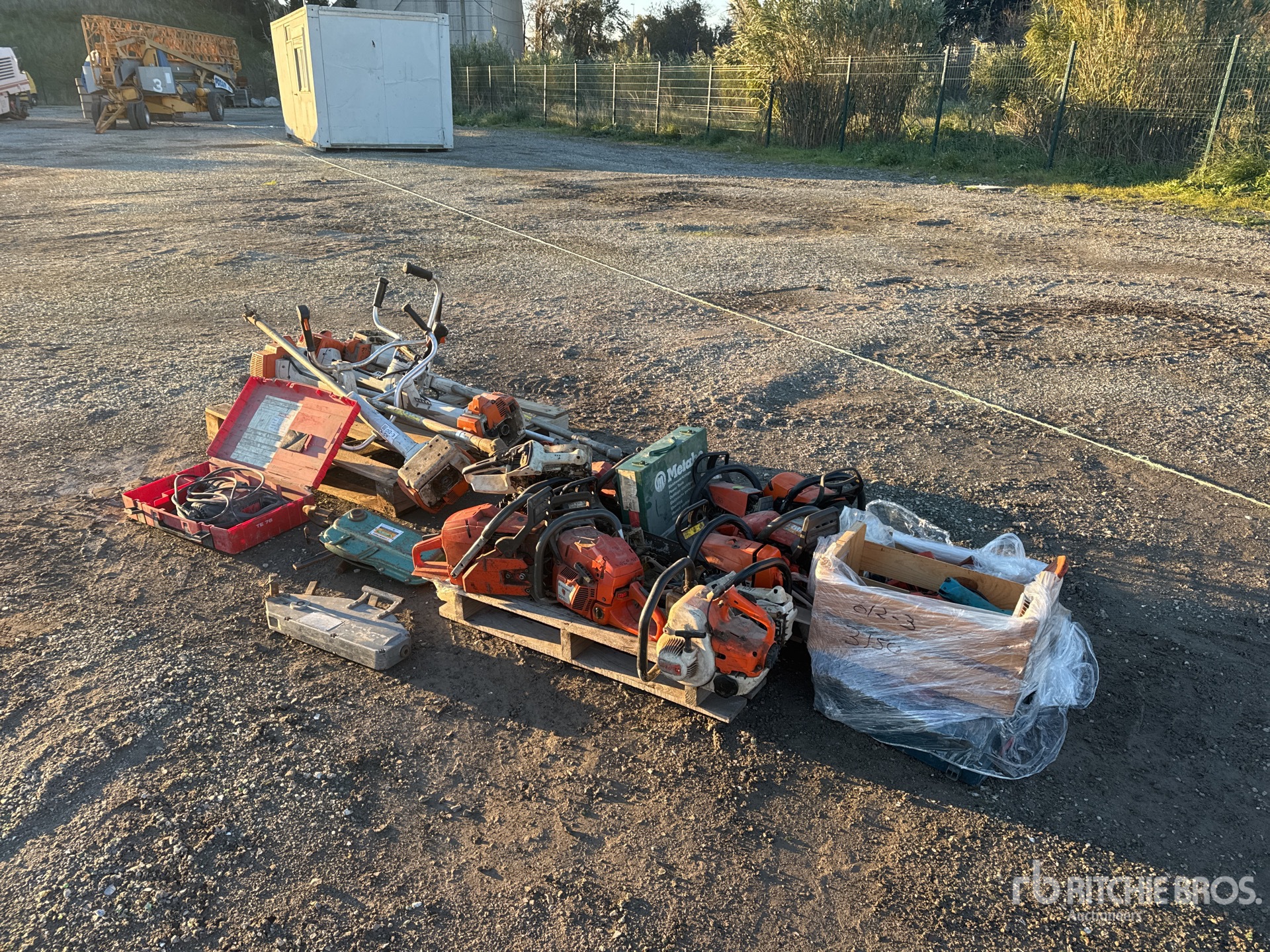 General Appearance with 