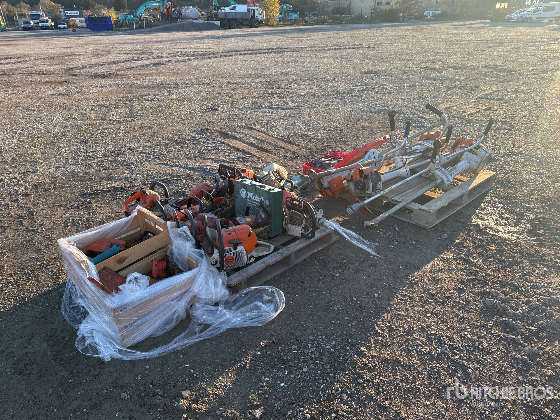 General Appearance with 