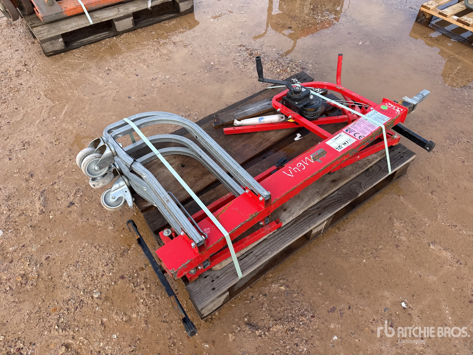 General Appearance with 