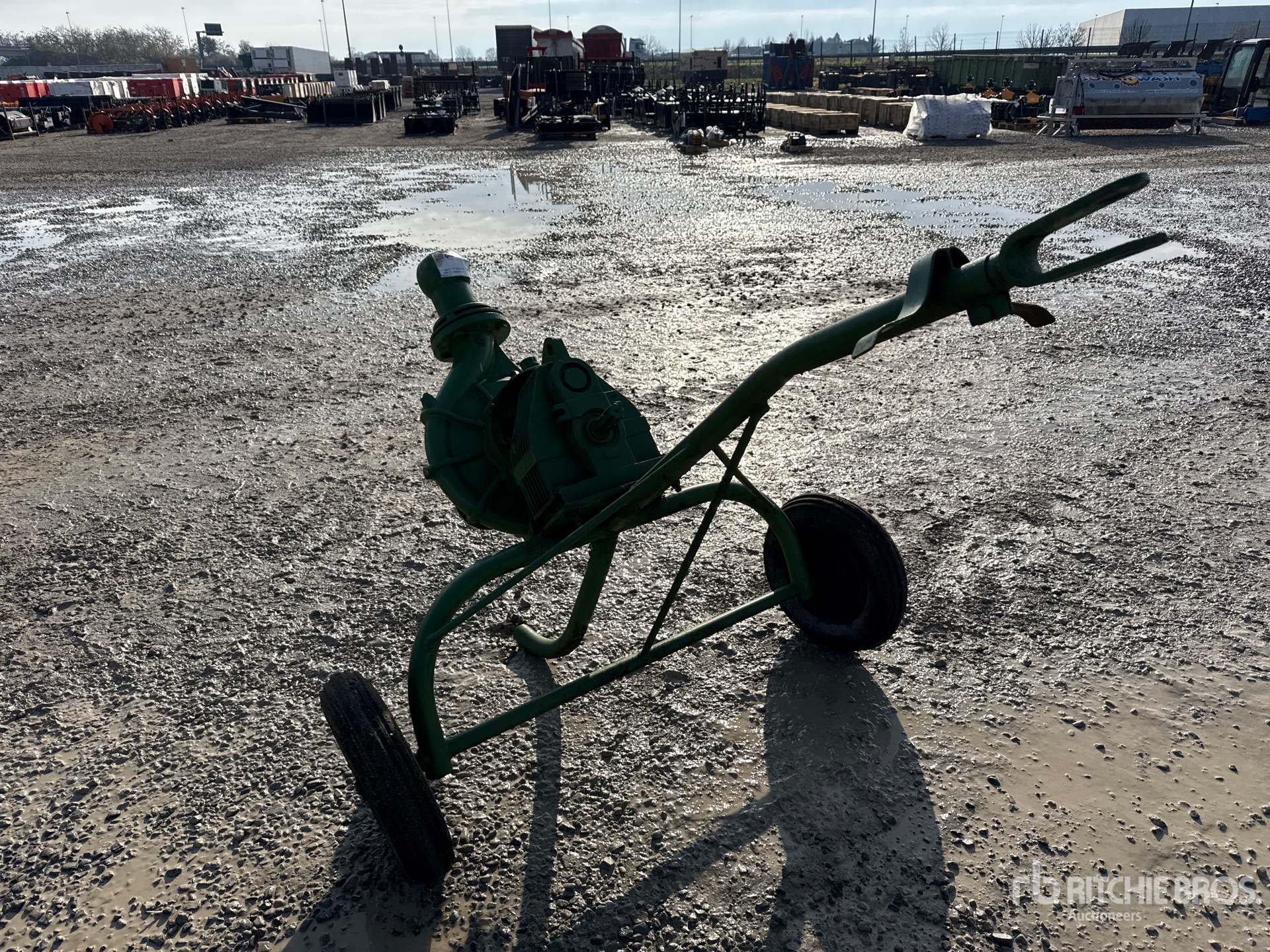 General Appearance with 