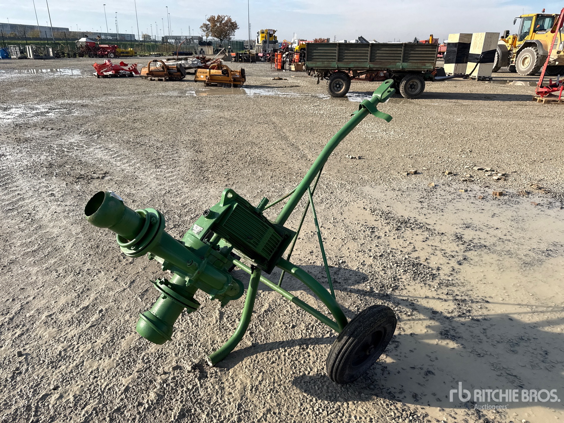 General Appearance with 