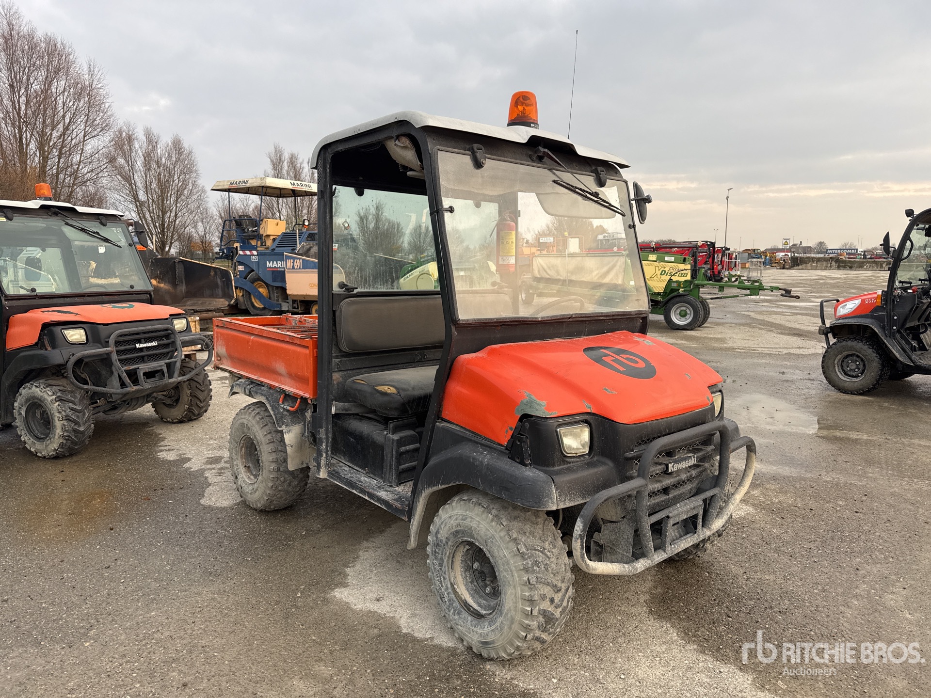 General Appearance with 