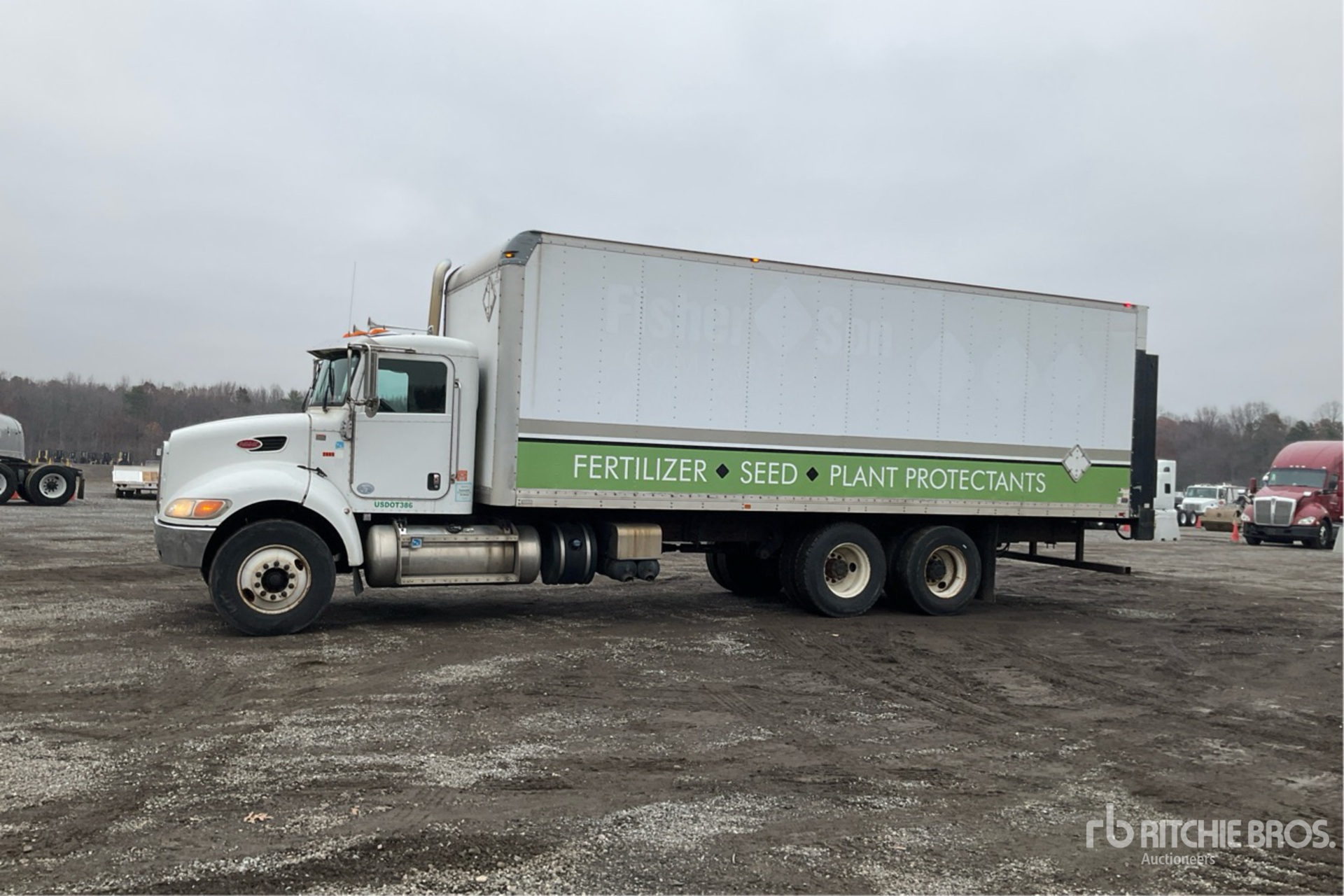 General Appearance with Spin