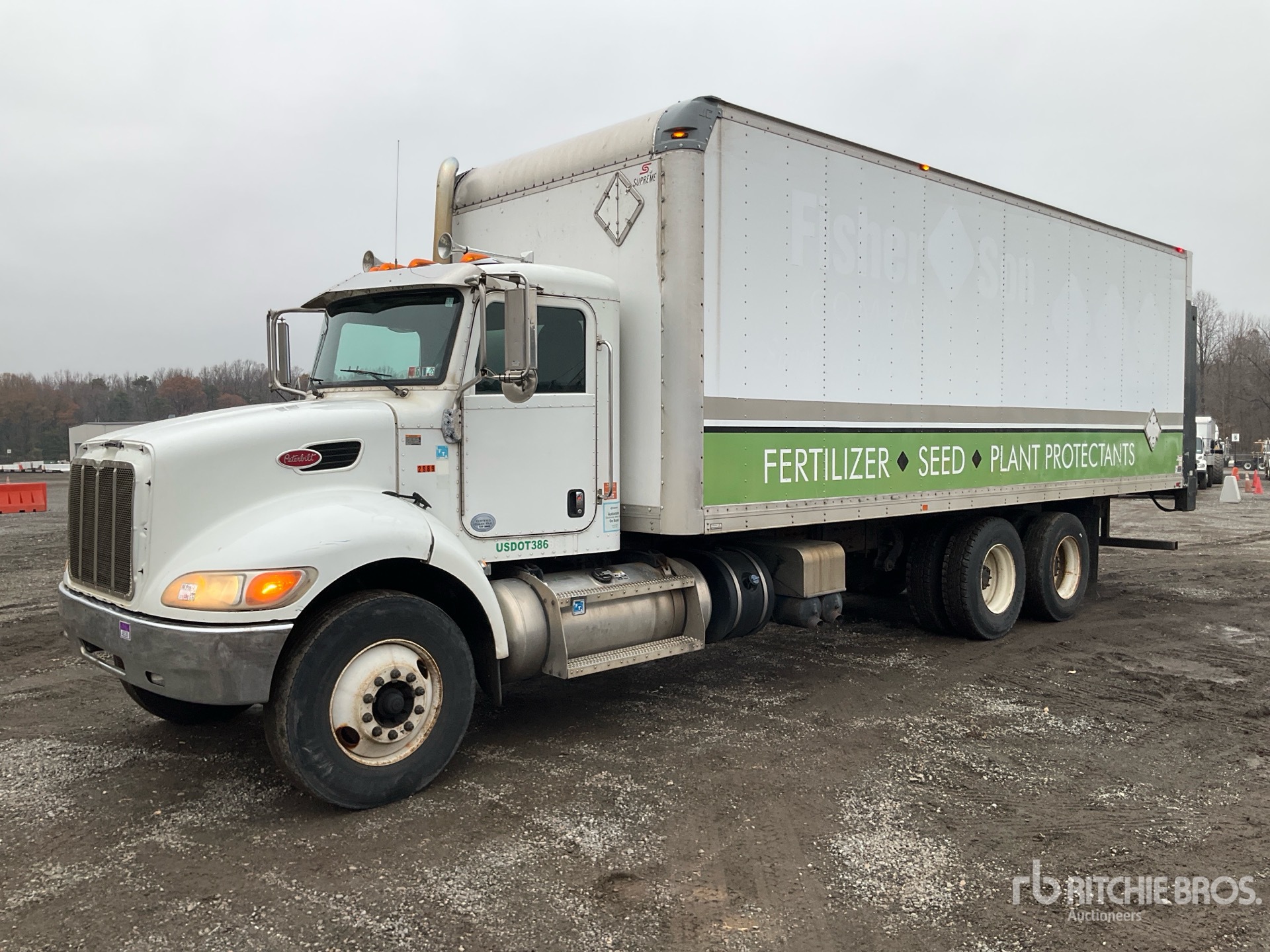 General Appearance with Spin