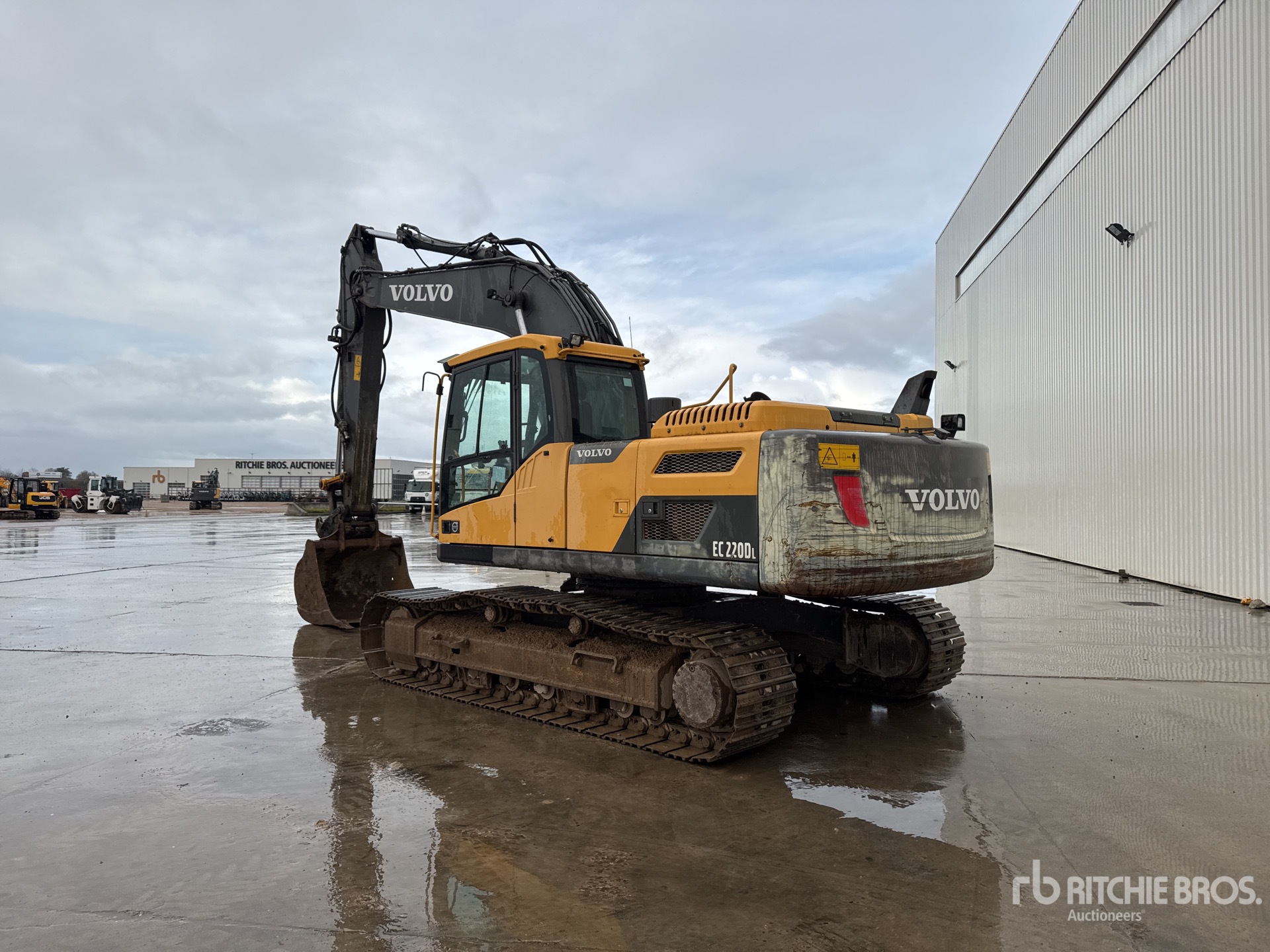 General Appearance with 