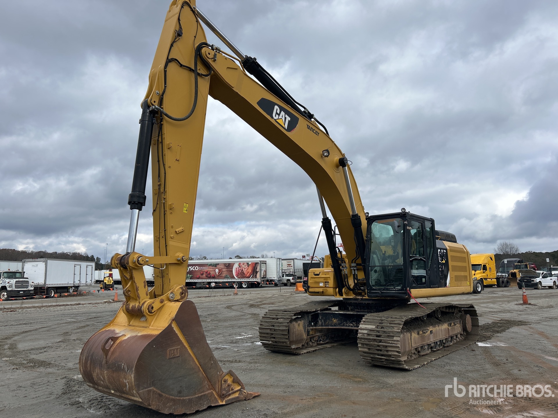 General Appearance with Spin