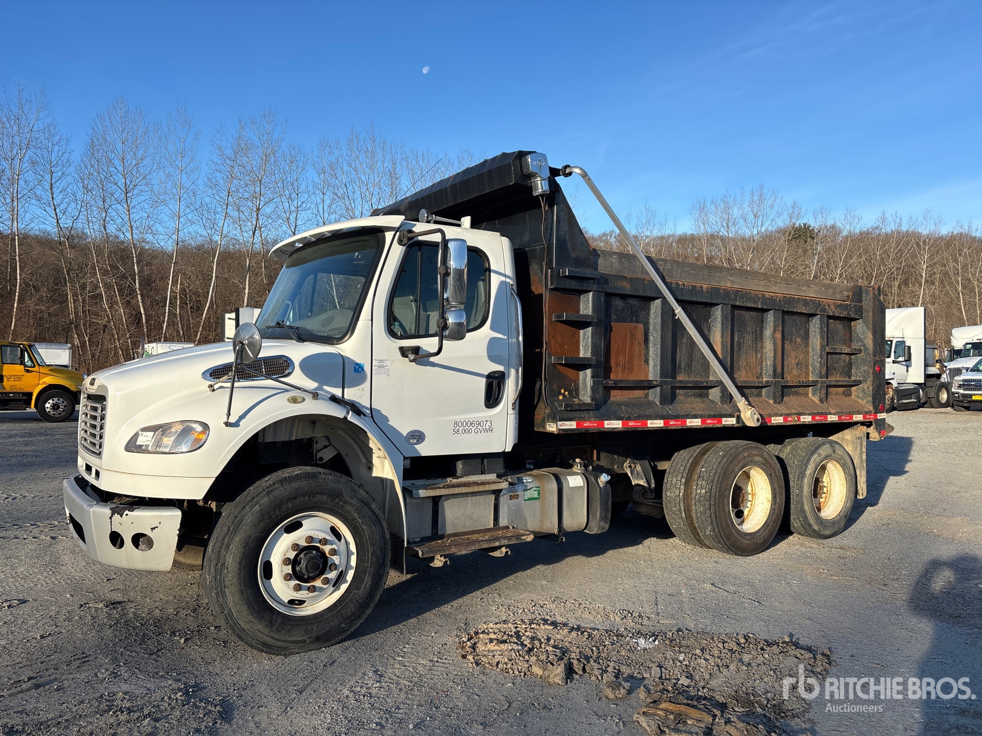 General Appearance with Spin