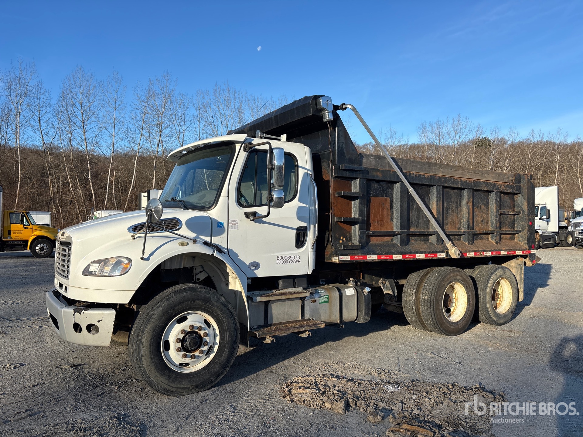 General Appearance with Spin