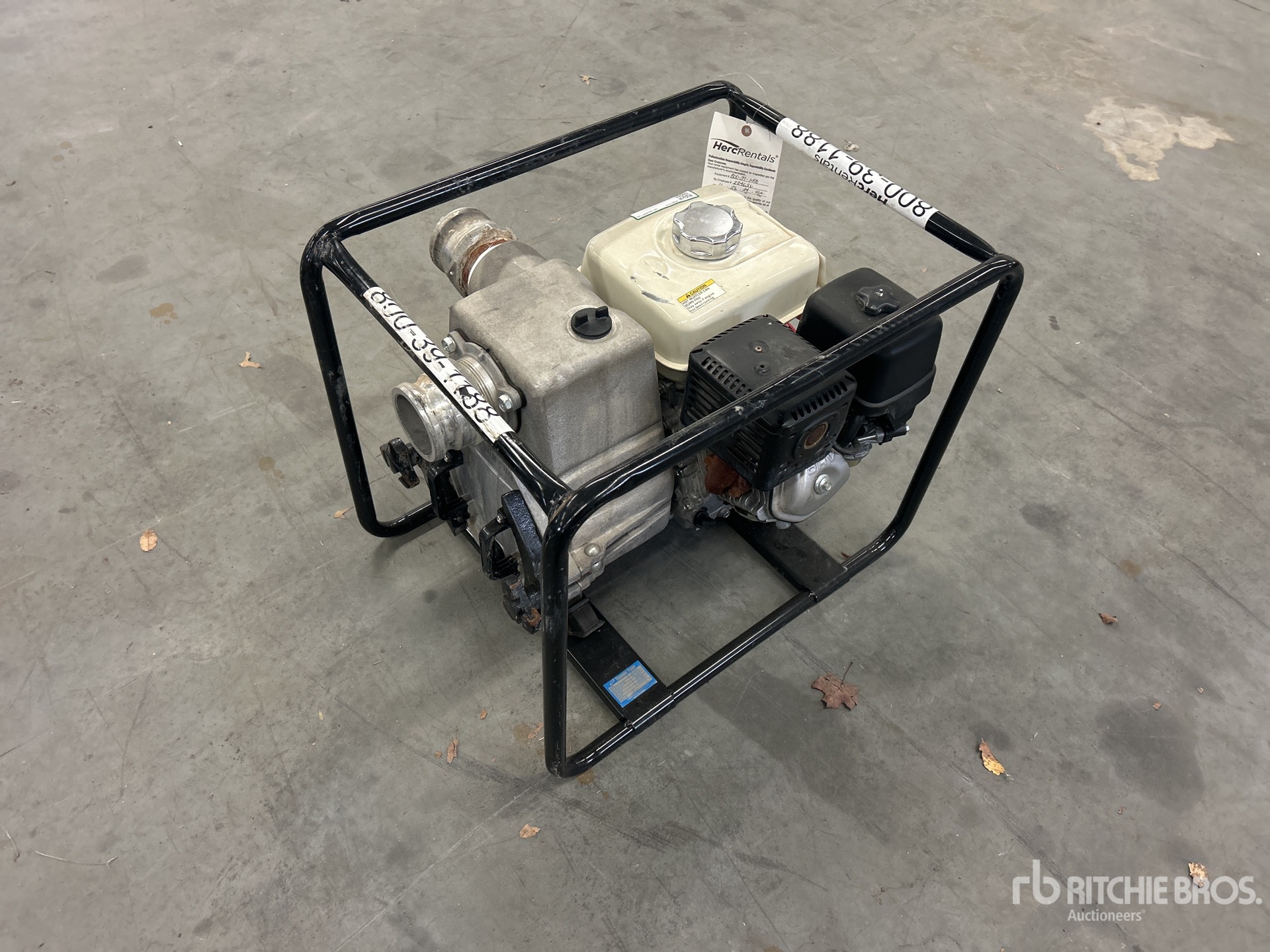 General Appearance with Foto, angolo anteriore sinistro