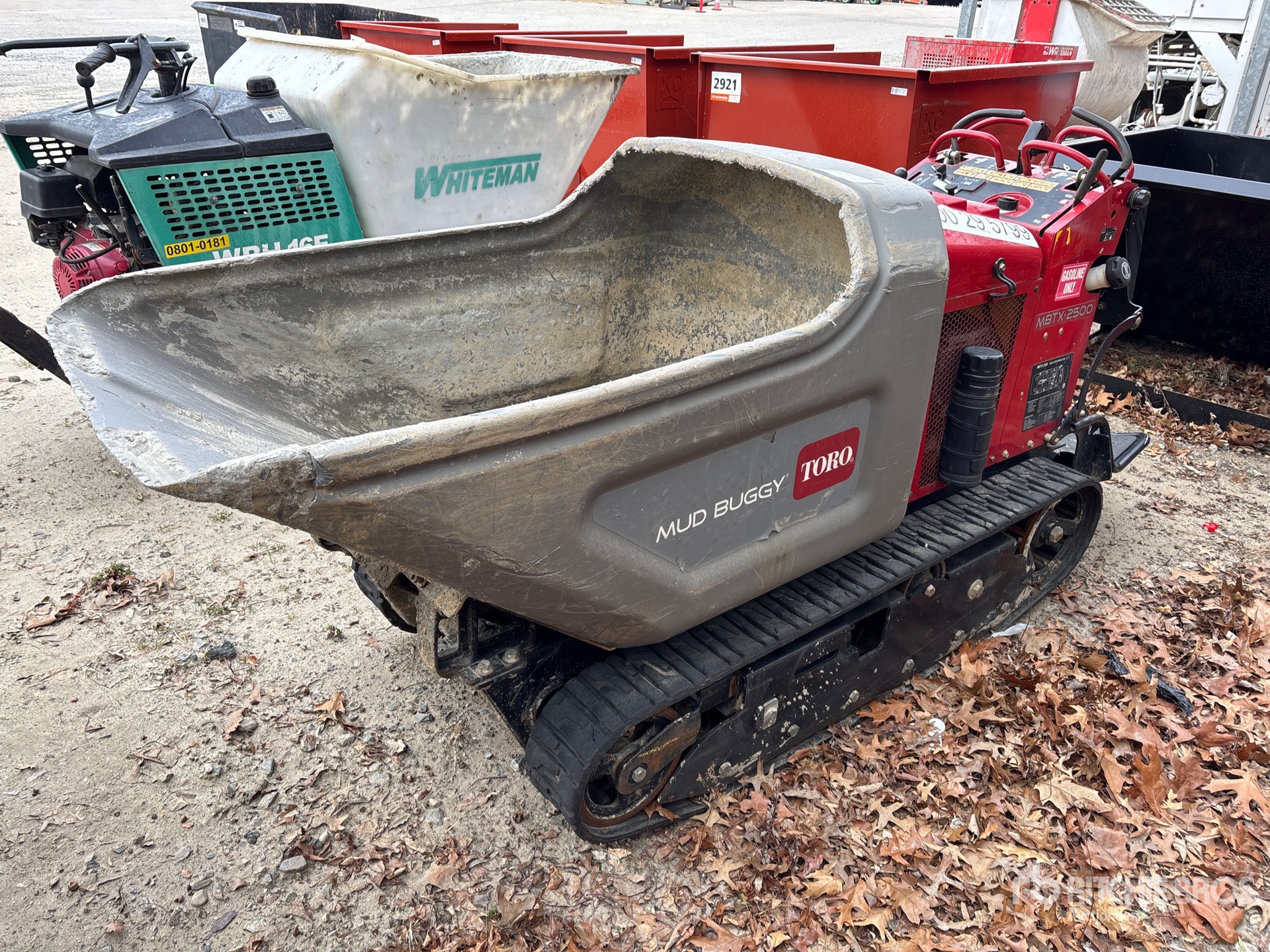 General Appearance with Bild, Ecke vorne links