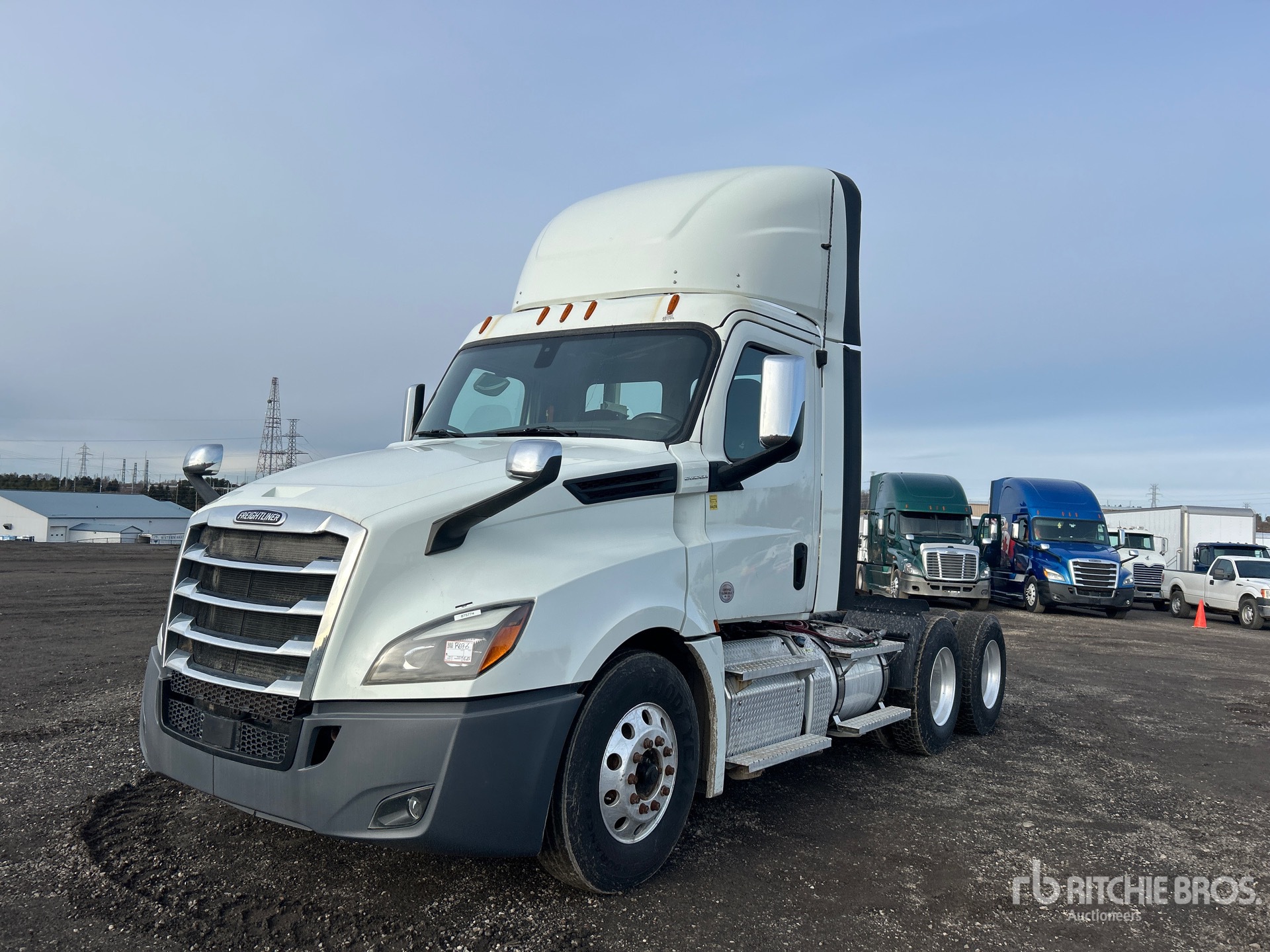 General Appearance with Spin