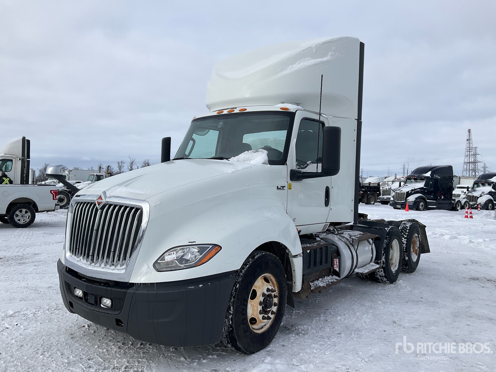 General Appearance with Spin