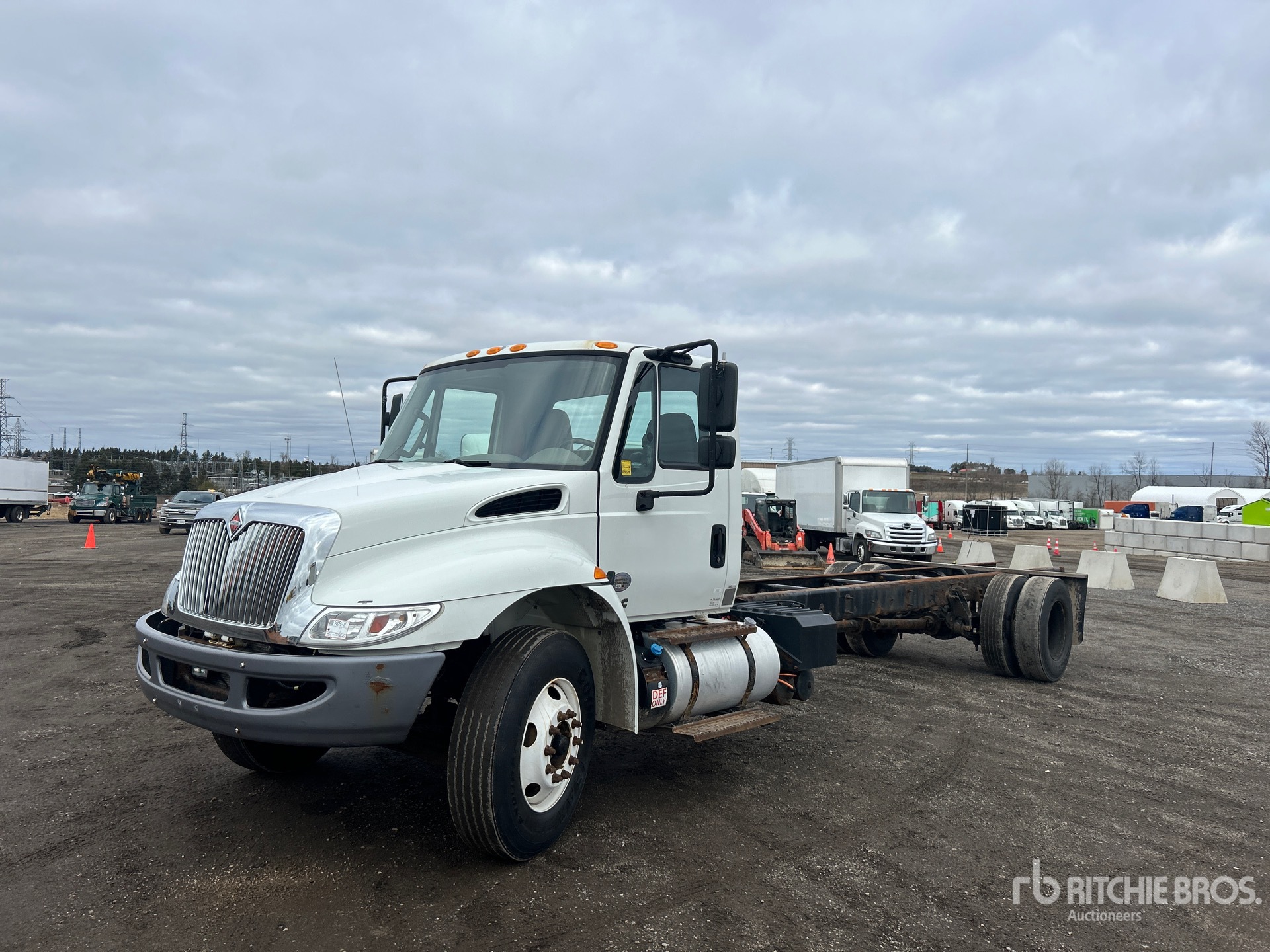 General Appearance with Spin