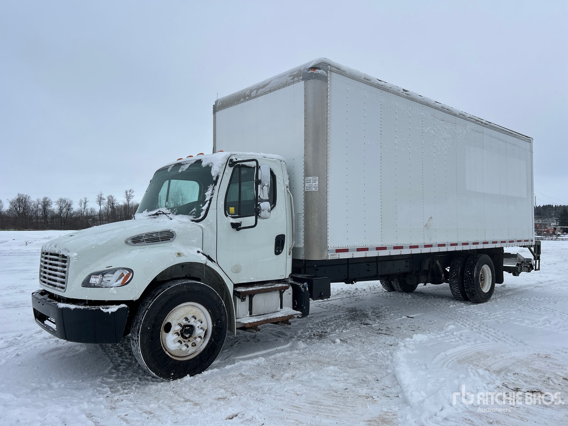 General Appearance with Spin