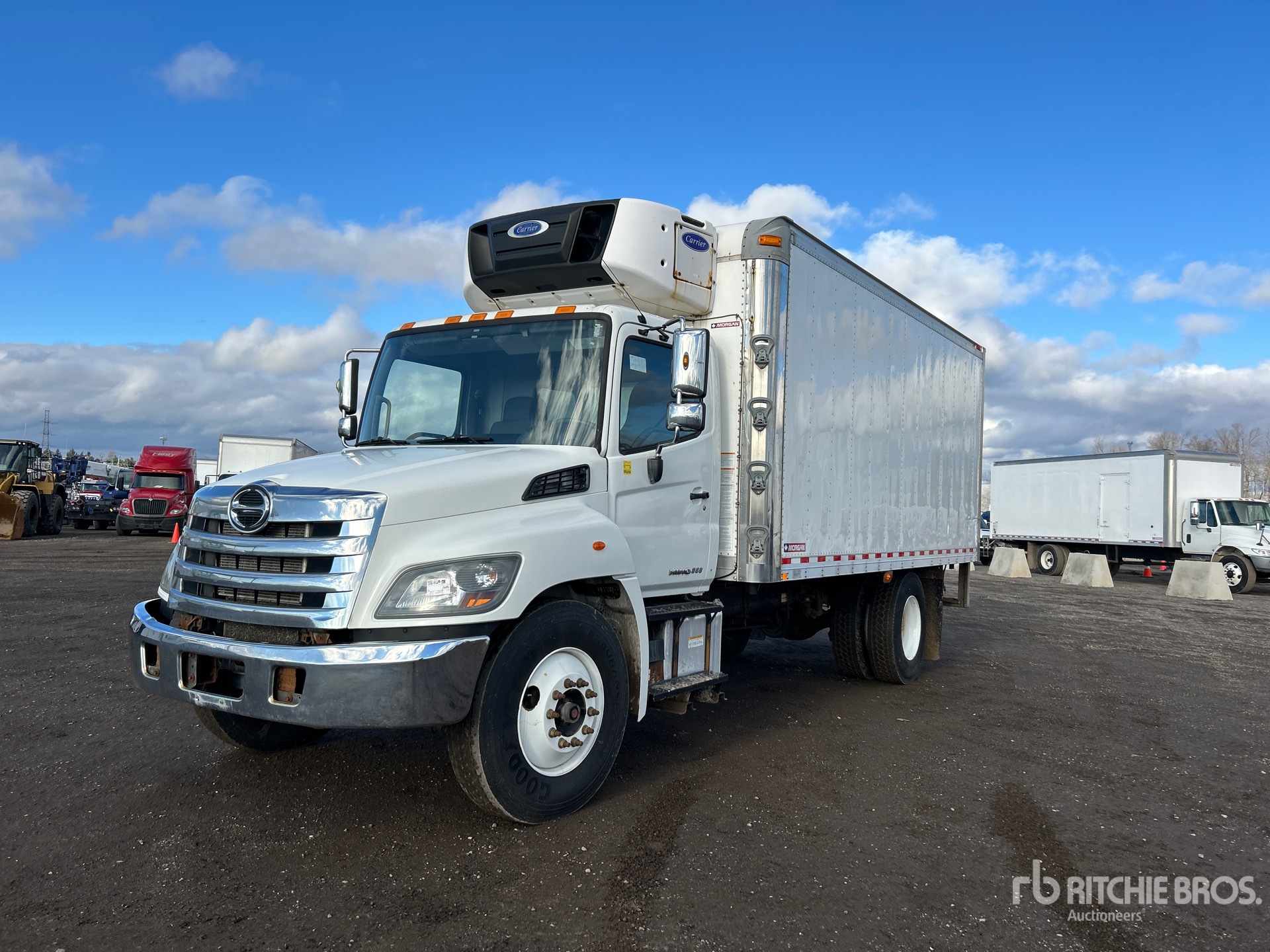 General Appearance with Spin