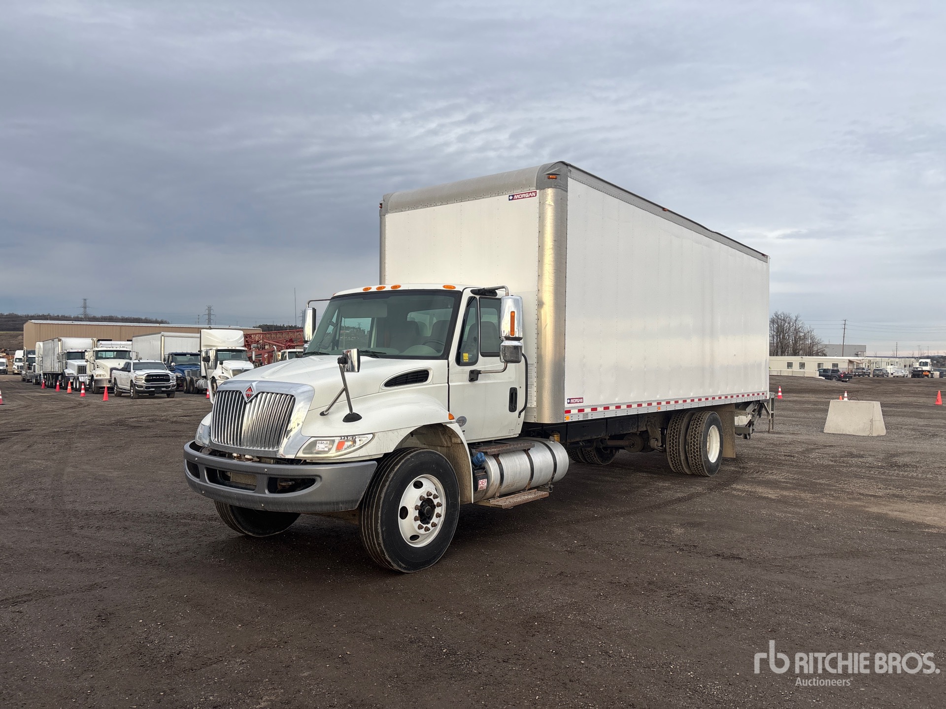 General Appearance with Spin