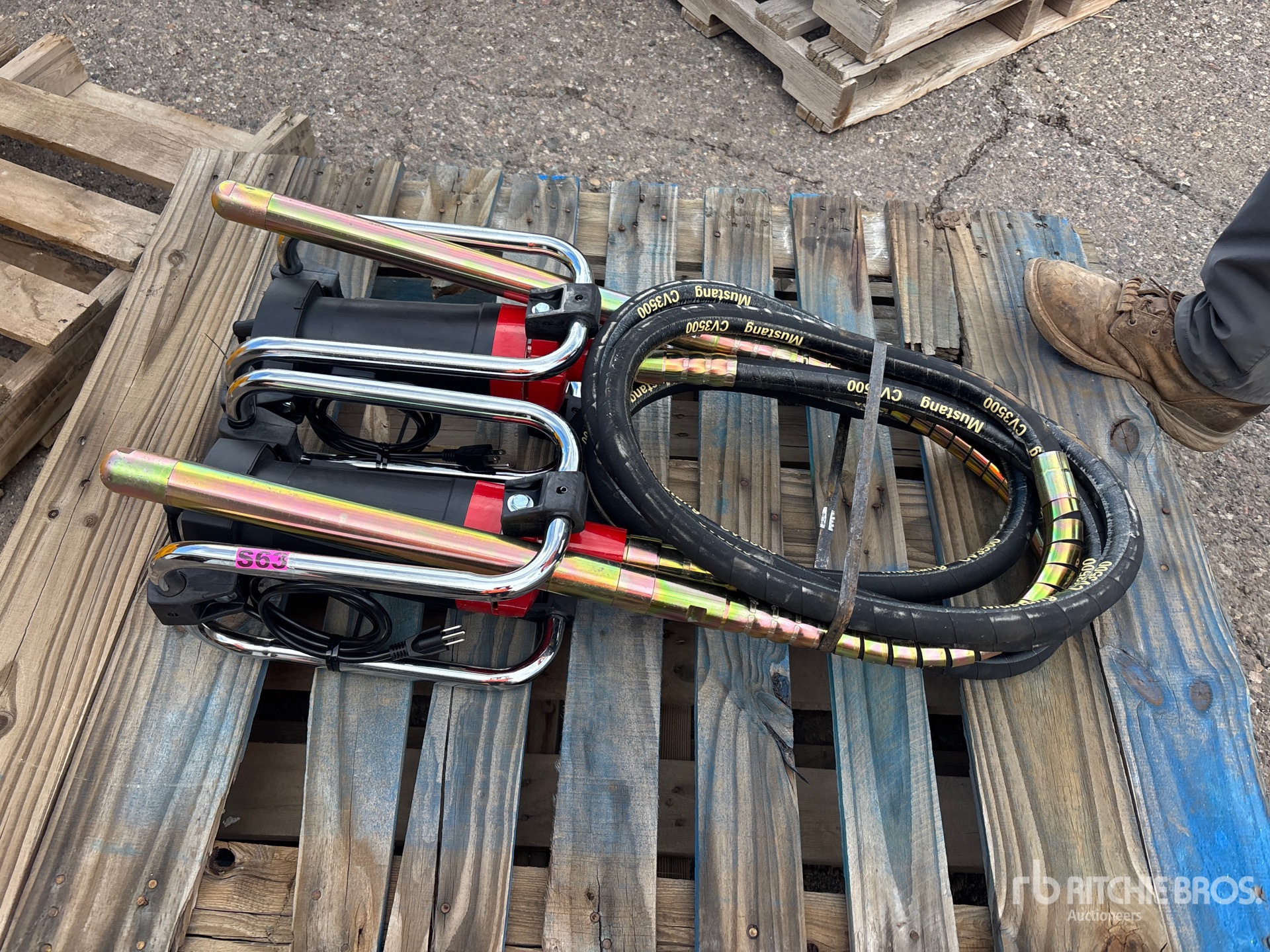 General Appearance with Featured Photo