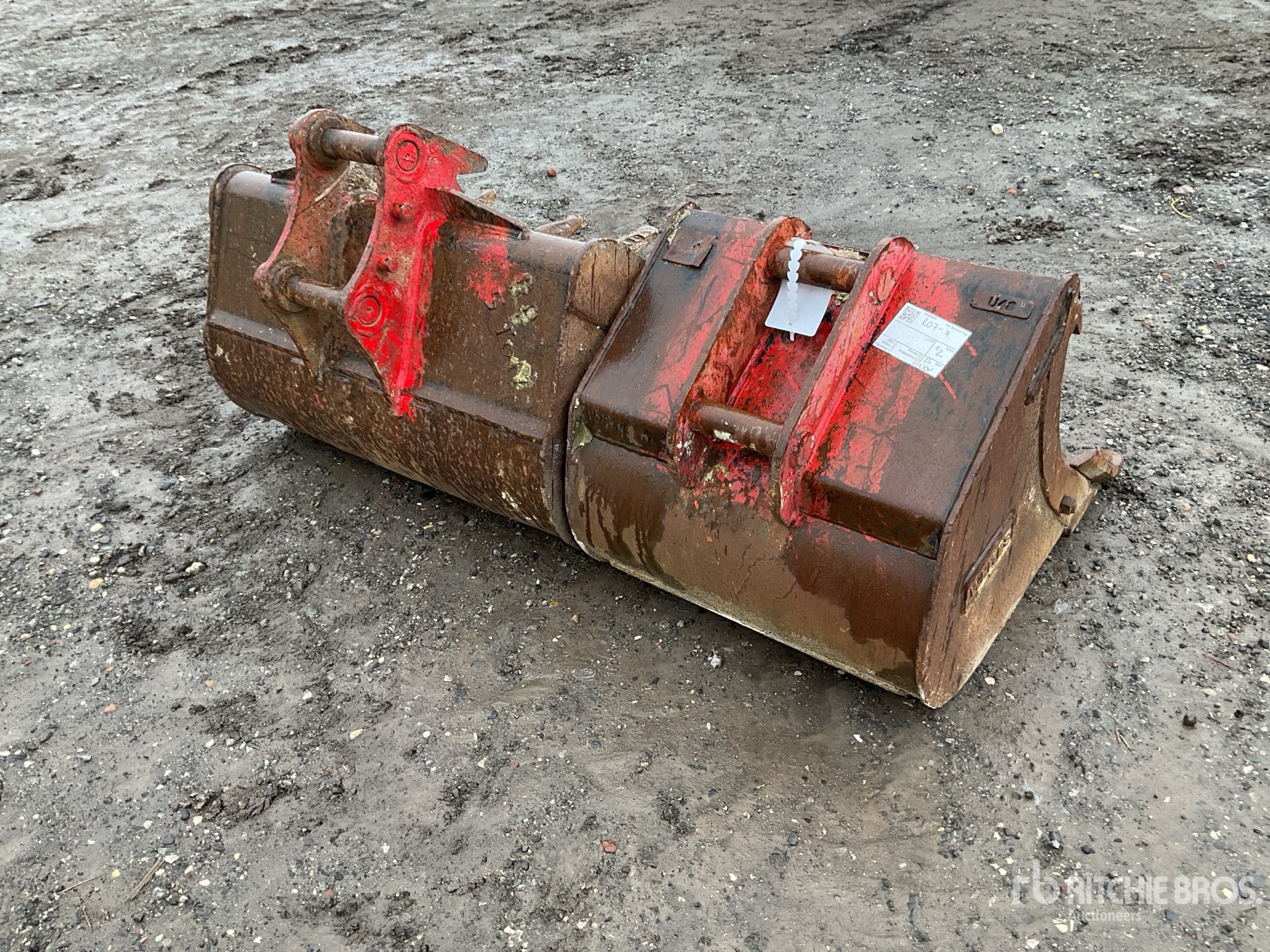 General Appearance with Zdjęcie, lewy dolny róg