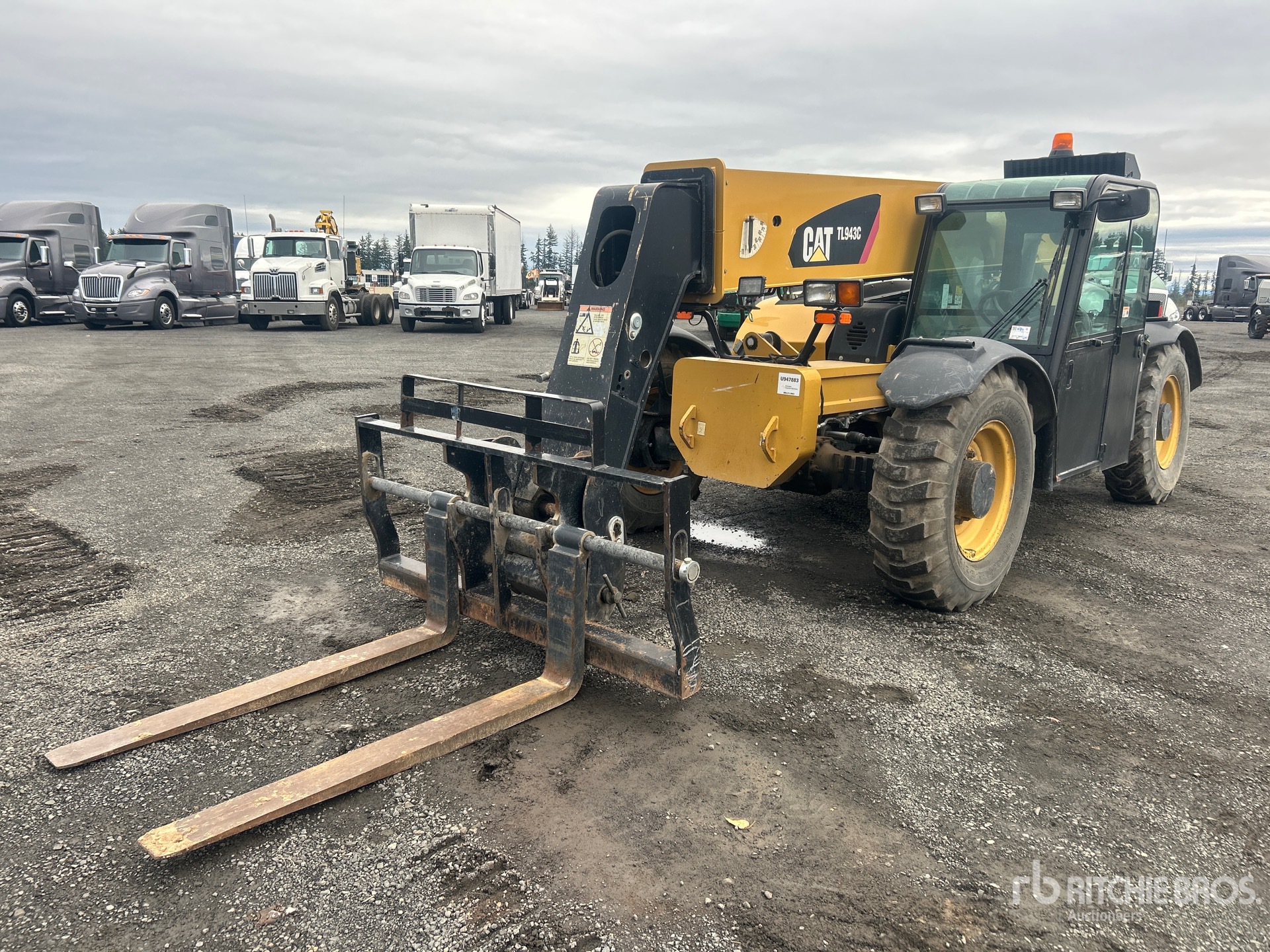 General Appearance with Spin