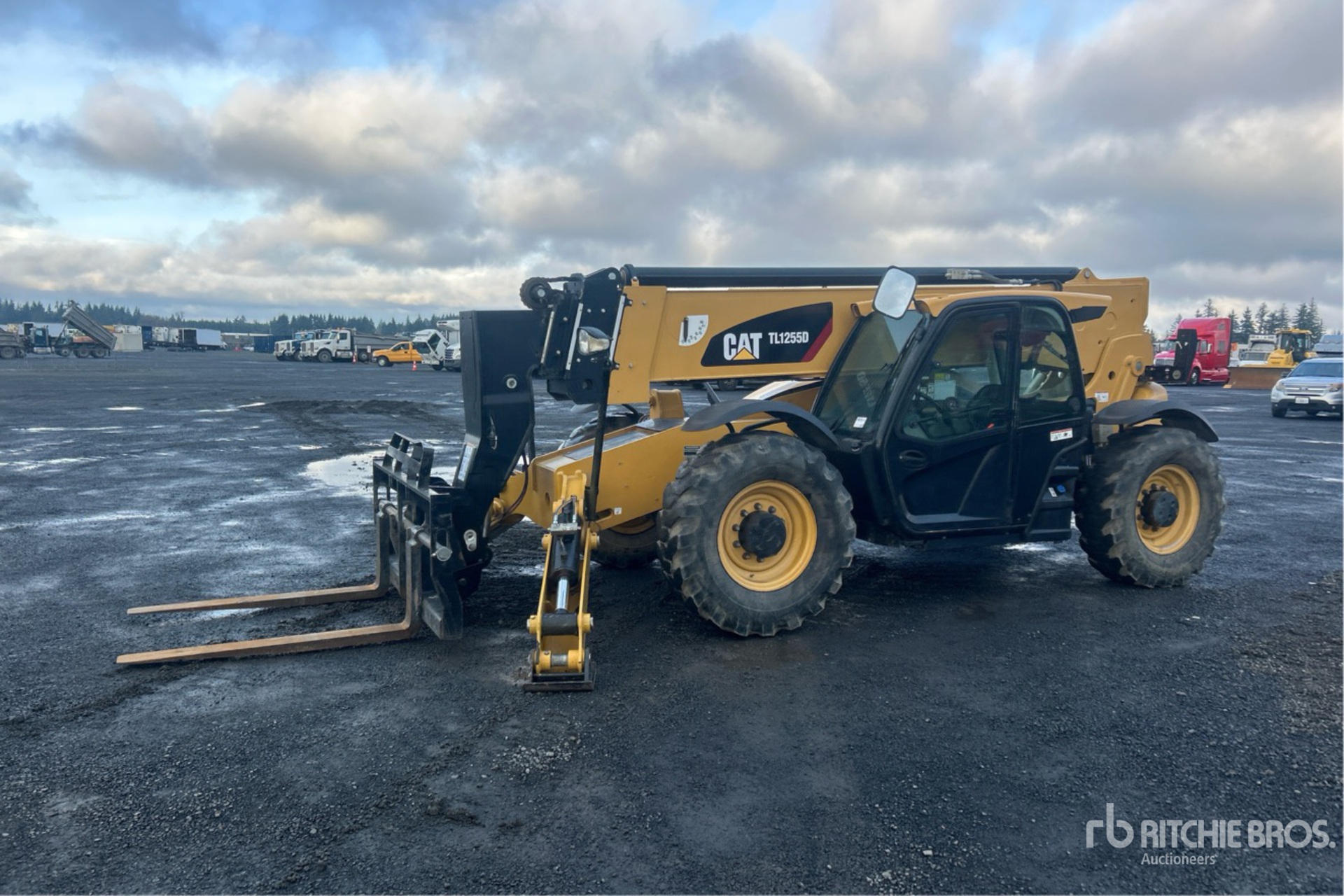 General Appearance with Spin