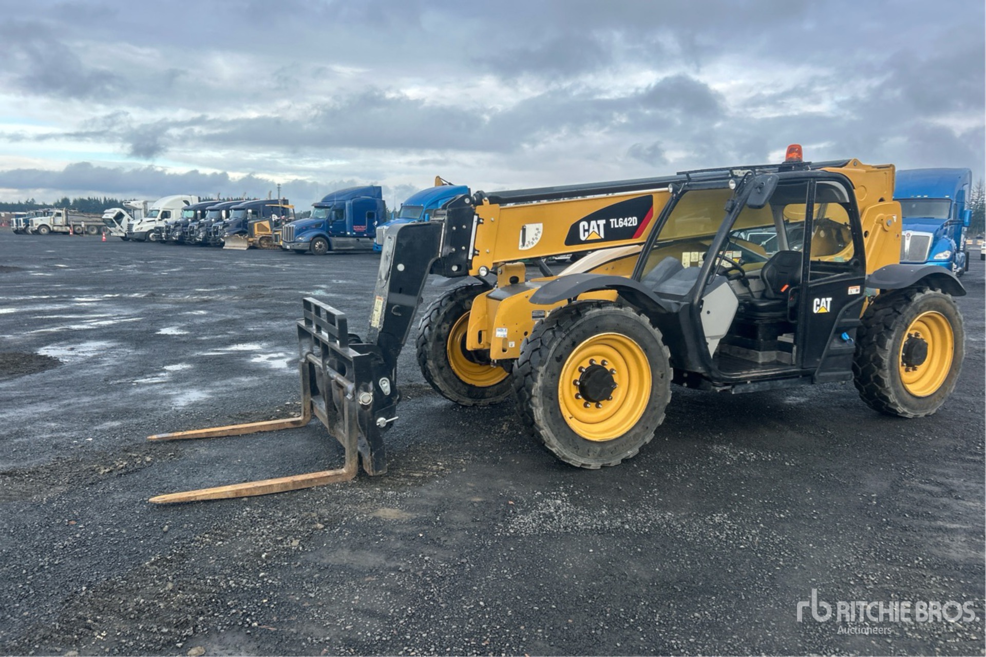 General Appearance with Spin