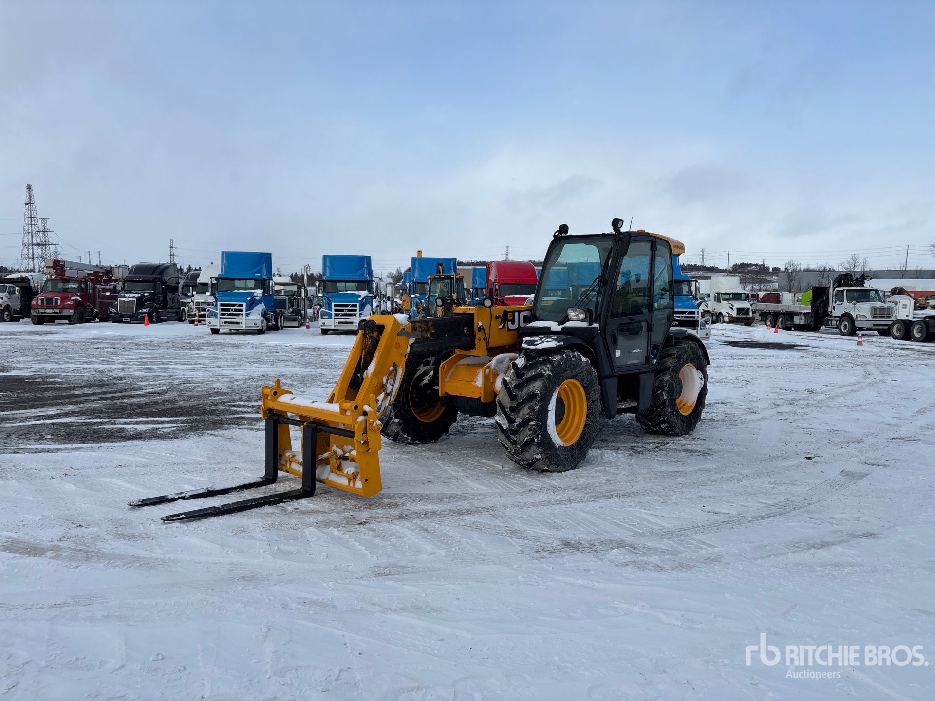 General Appearance with Spin