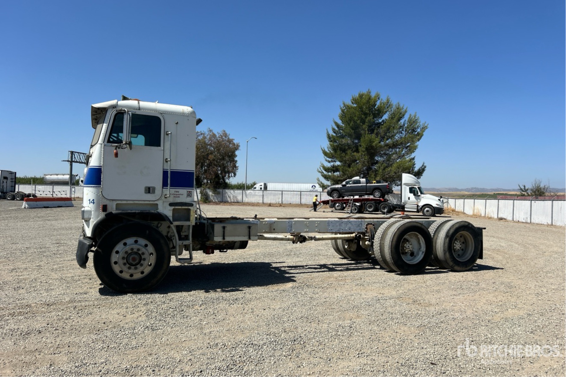 General Appearance with Zdjęcie, lewy górny róg