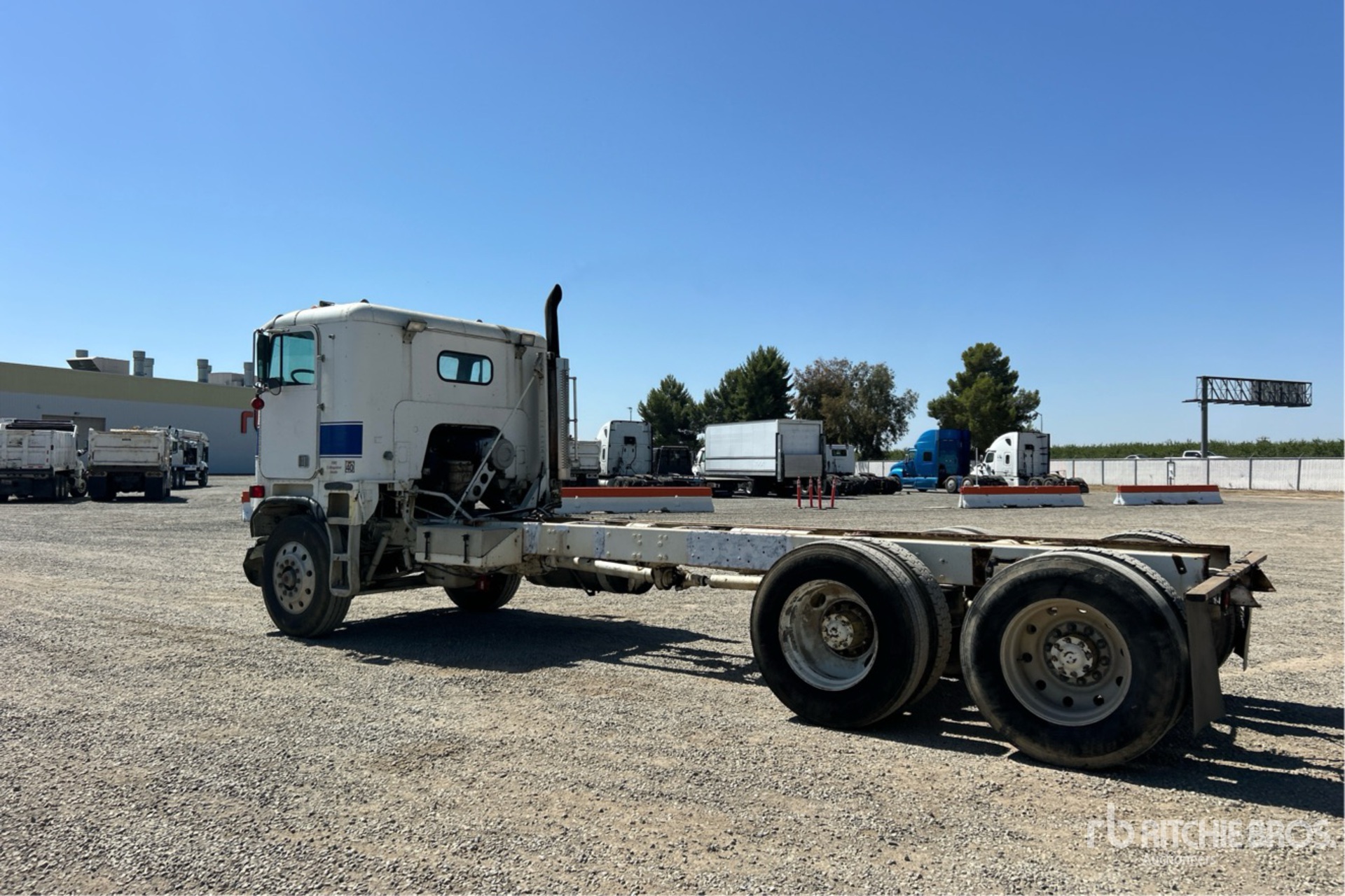 General Appearance with Zdjęcie, lewy dolny róg