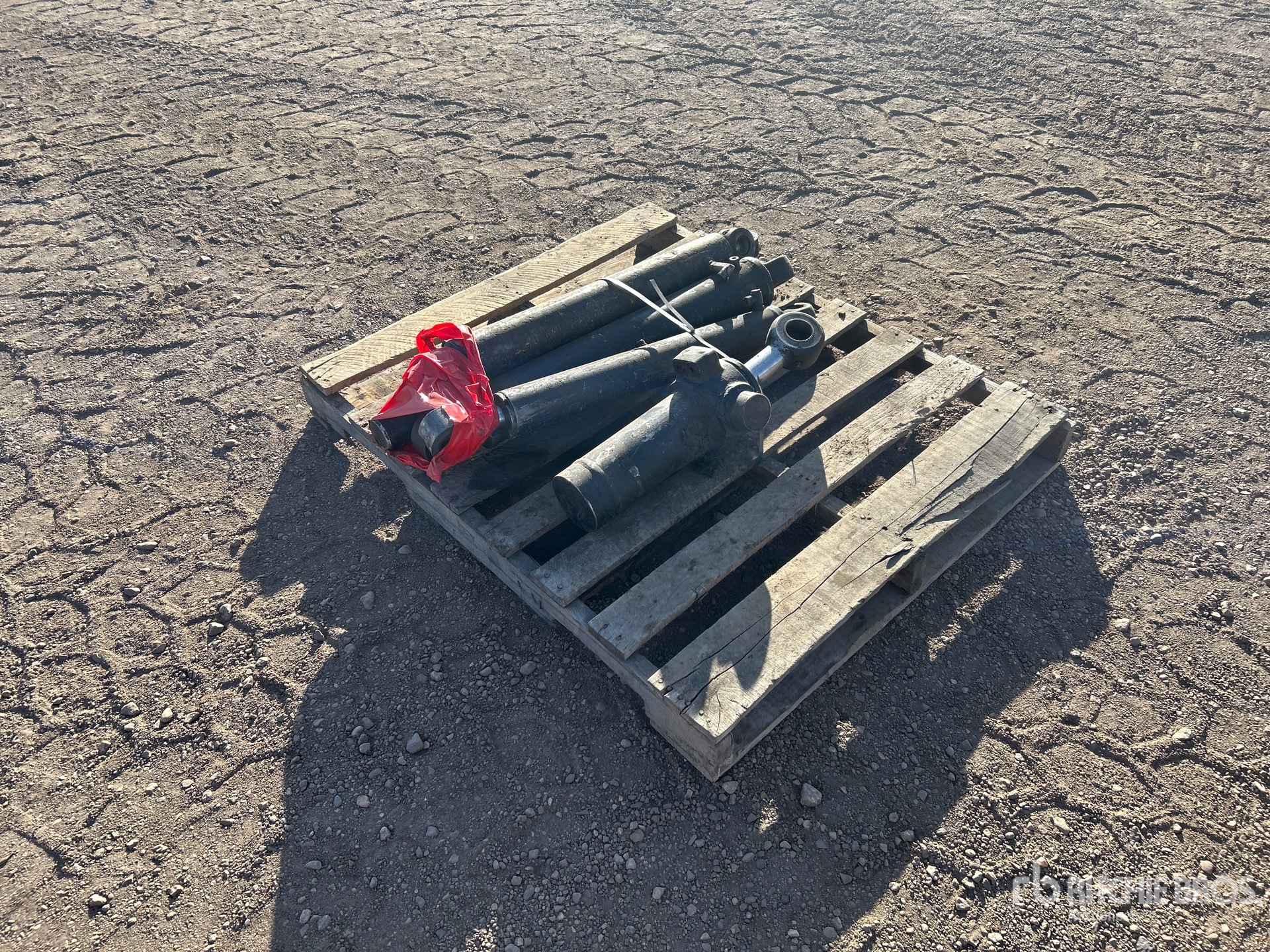 General Appearance with Foto, angolo posteriore sinistro