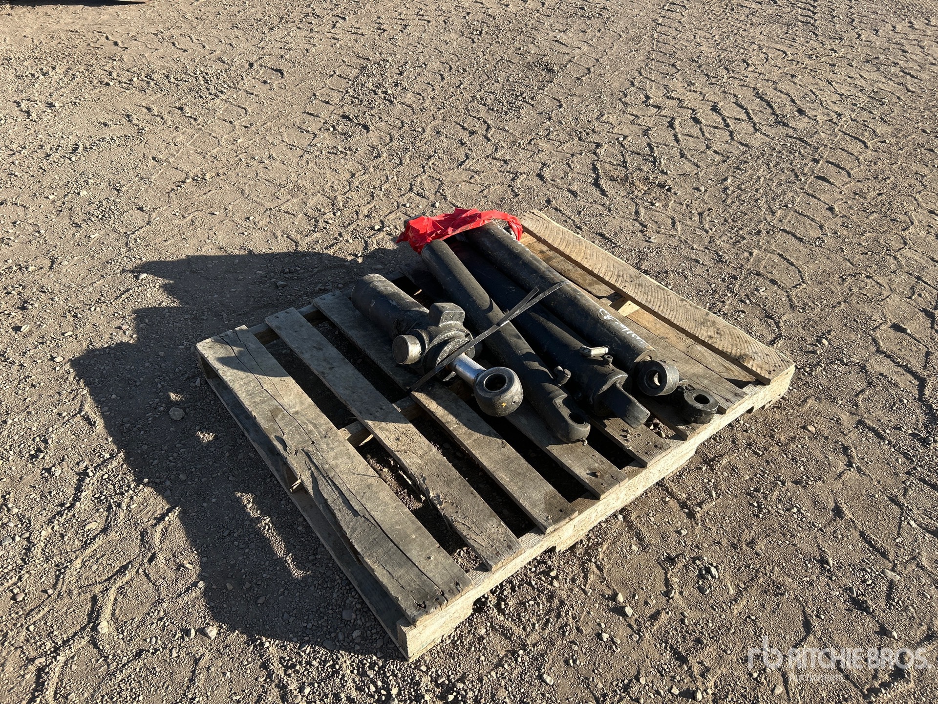 General Appearance with Foto, angolo anteriore sinistro